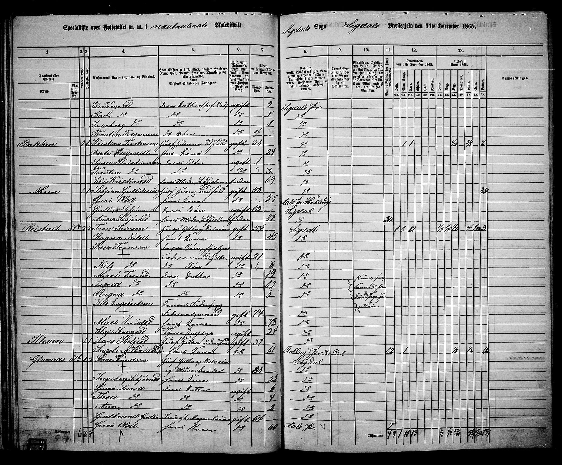 RA, 1865 census for Sigdal, 1865, p. 61