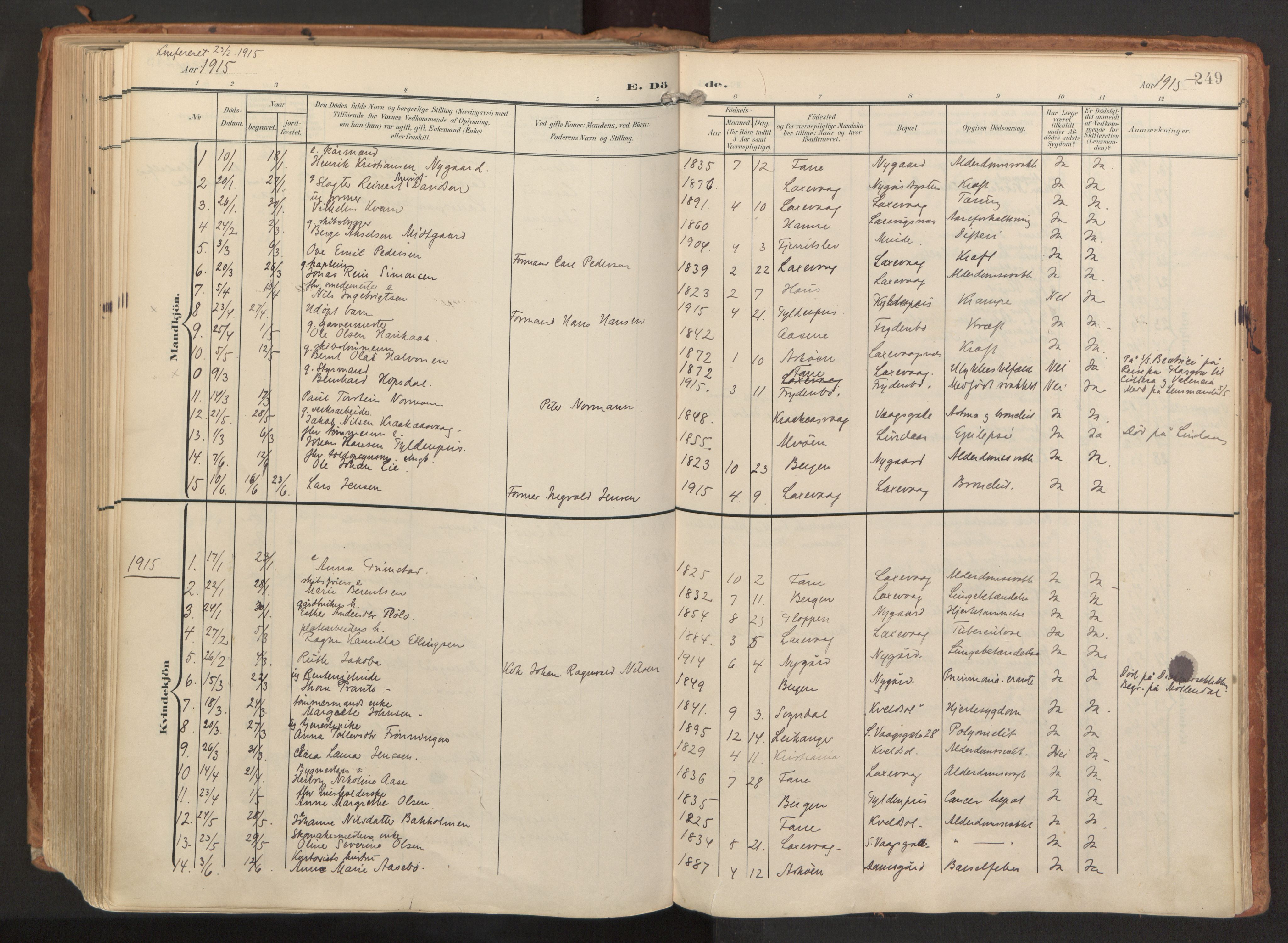 Laksevåg Sokneprestembete, AV/SAB-A-76501/H/Ha/Haa/Haaa/L0001: Parish register (official) no. A 1, 1903-1917, p. 249