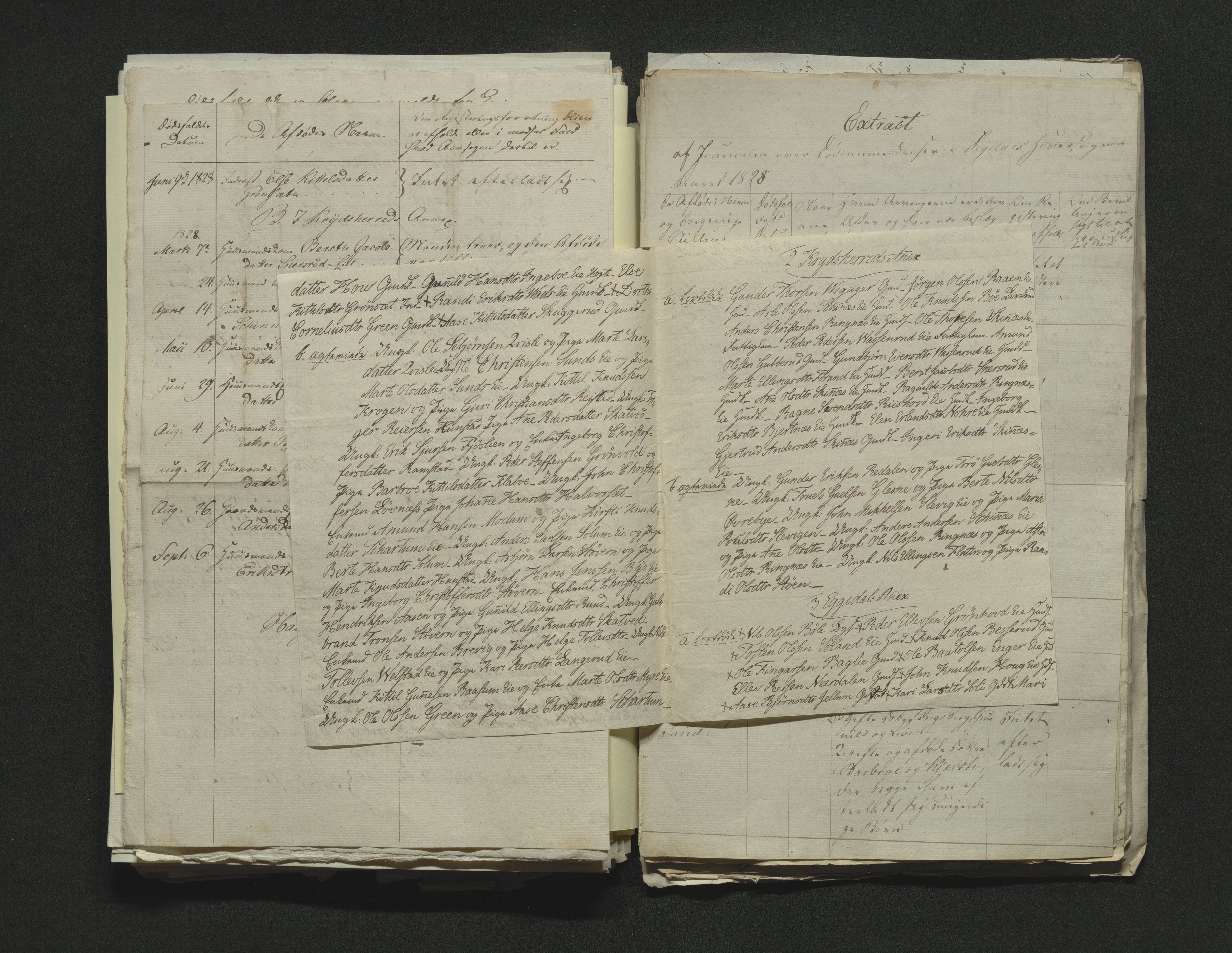 Eiker, Modum og Sigdal sorenskriveri, AV/SAKO-A-123/H/Ha/Hab/L0002: Dødsfallsmeldinger, 1823-1829, p. 314