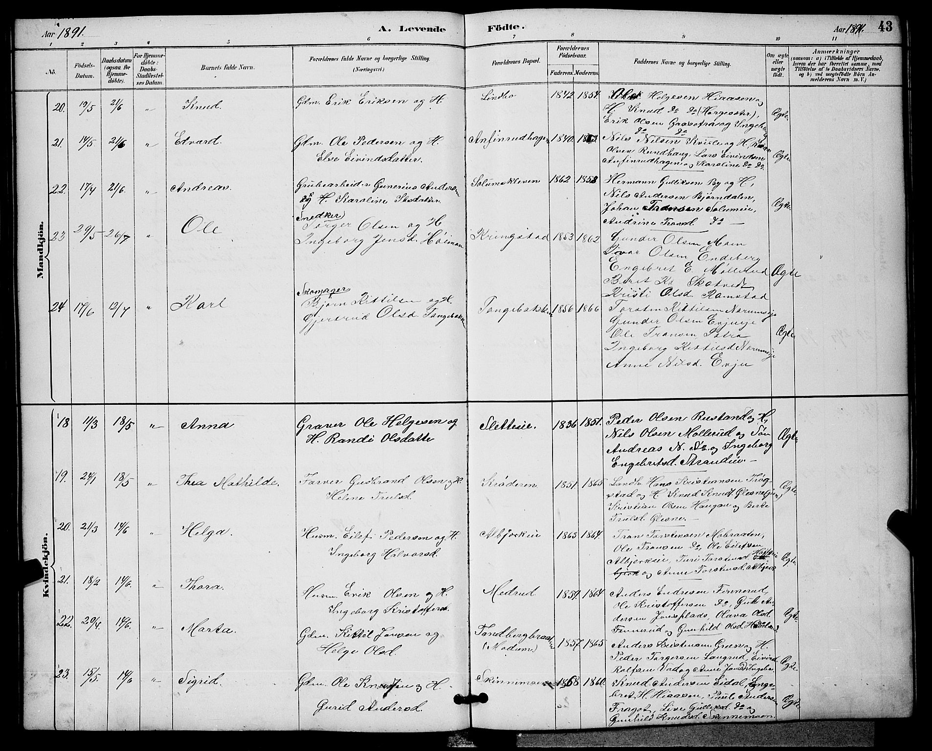 Sigdal kirkebøker, AV/SAKO-A-245/G/Ga/L0005: Parish register (copy) no. I 5, 1886-1900, p. 43