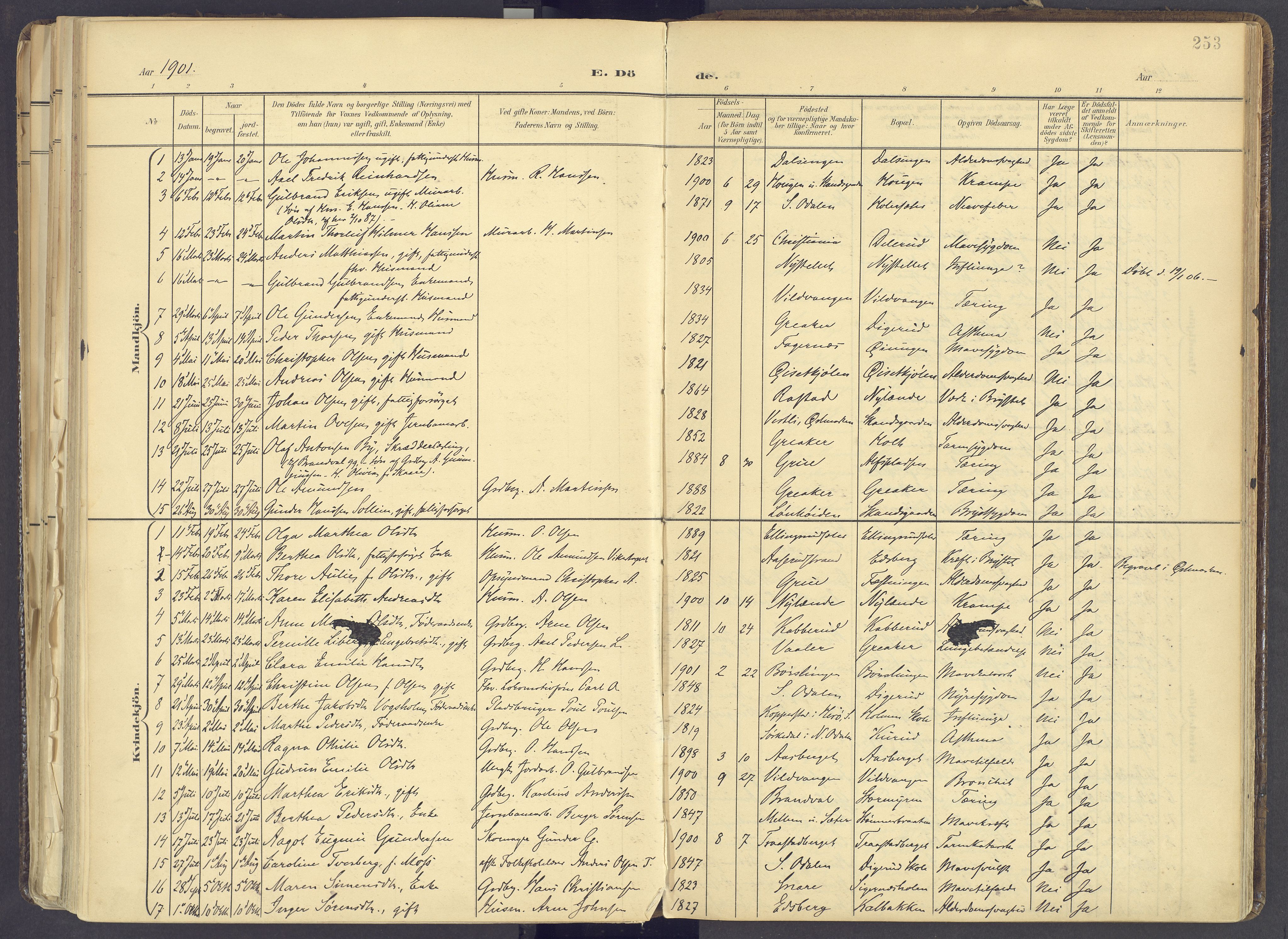 Vinger prestekontor, AV/SAH-PREST-024/H/Ha/Haa/L0017: Parish register (official) no. 17, 1901-1927, p. 253