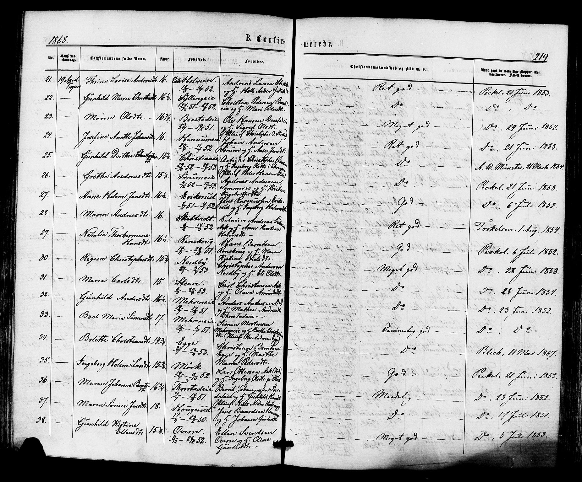 Lier kirkebøker, AV/SAKO-A-230/F/Fa/L0013: Parish register (official) no. I 13, 1865-1874, p. 219