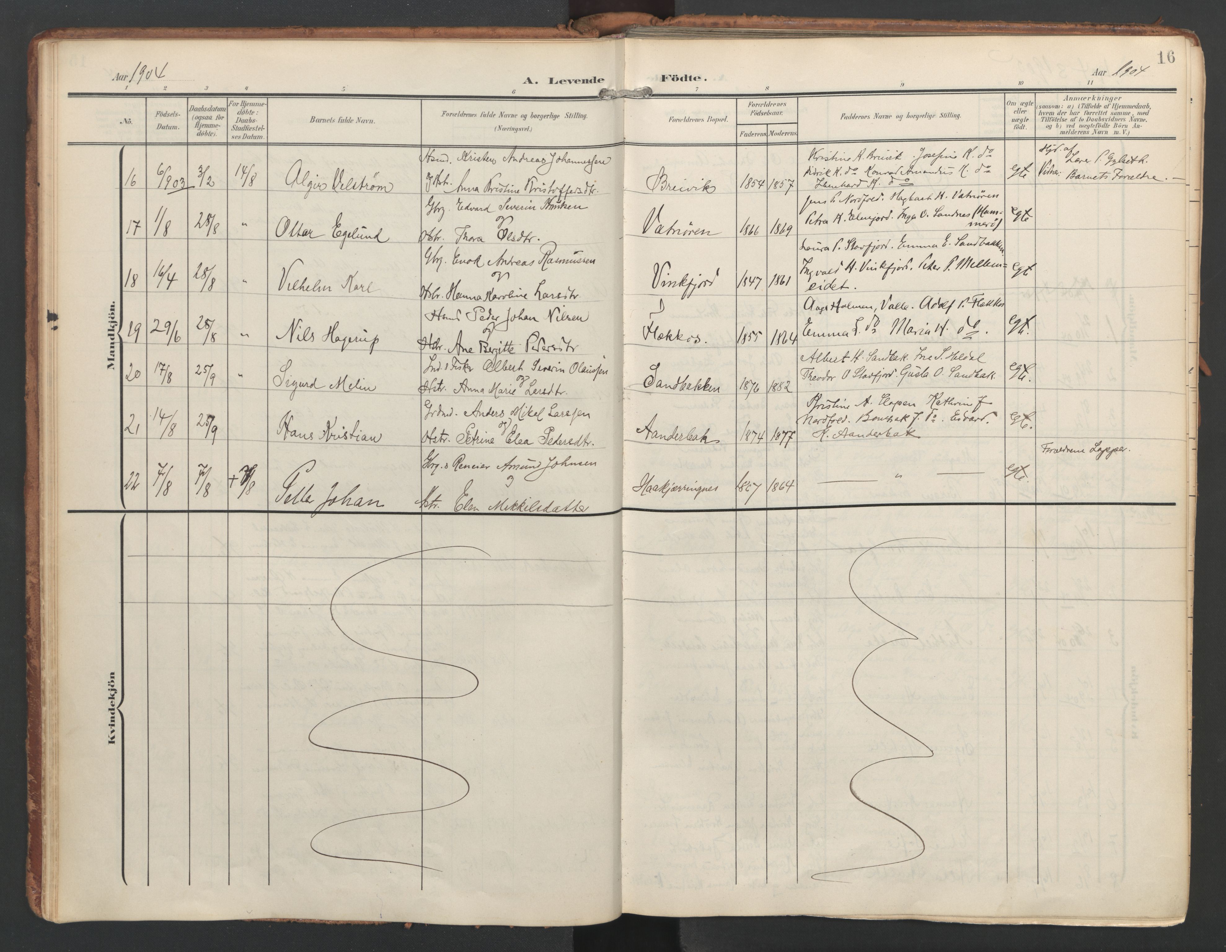 Ministerialprotokoller, klokkerbøker og fødselsregistre - Nordland, AV/SAT-A-1459/858/L0832: Parish register (official) no. 858A02, 1902-1915, p. 16