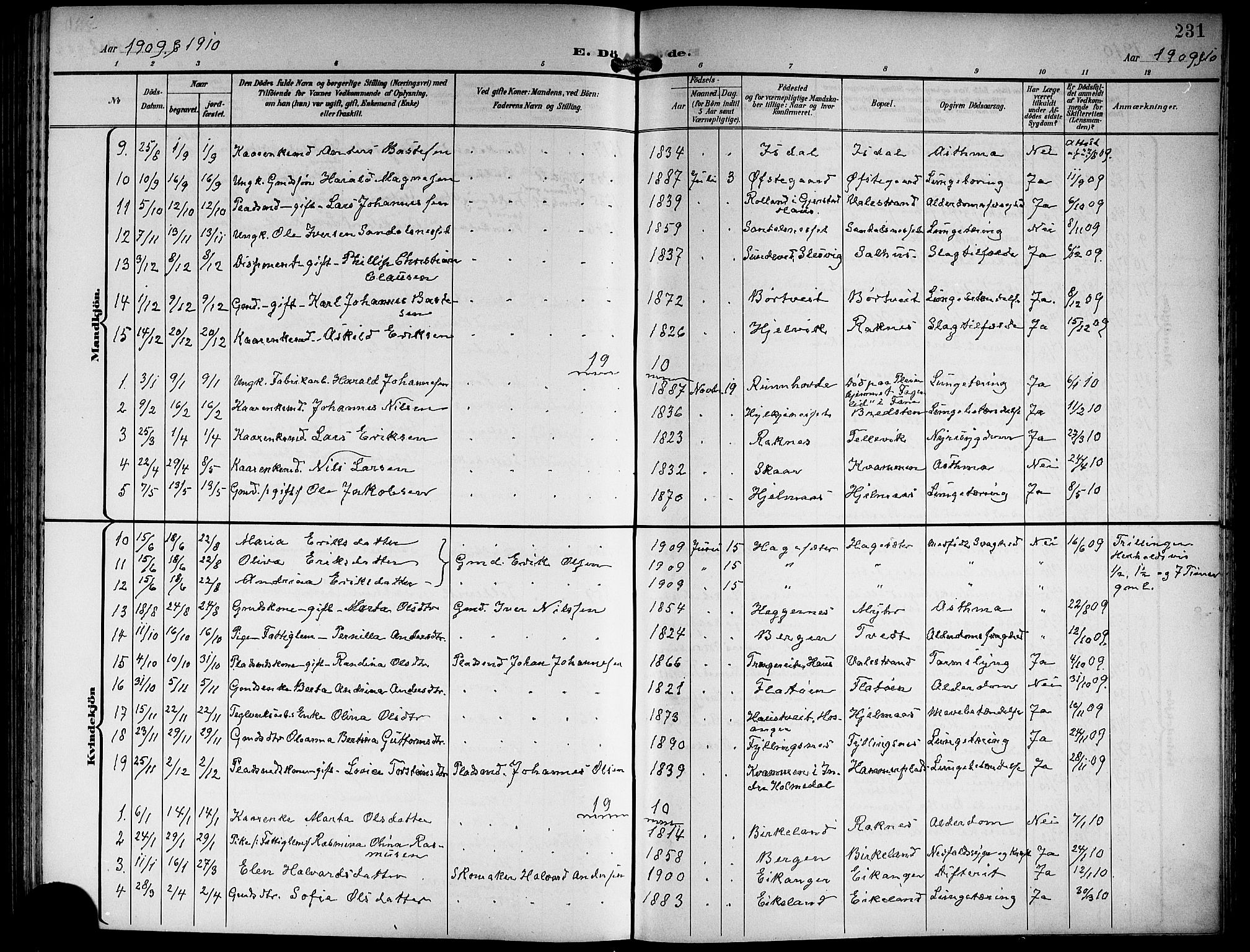 Hamre sokneprestembete, SAB/A-75501/H/Ha/Hab: Parish register (copy) no. B 4, 1898-1919, p. 231