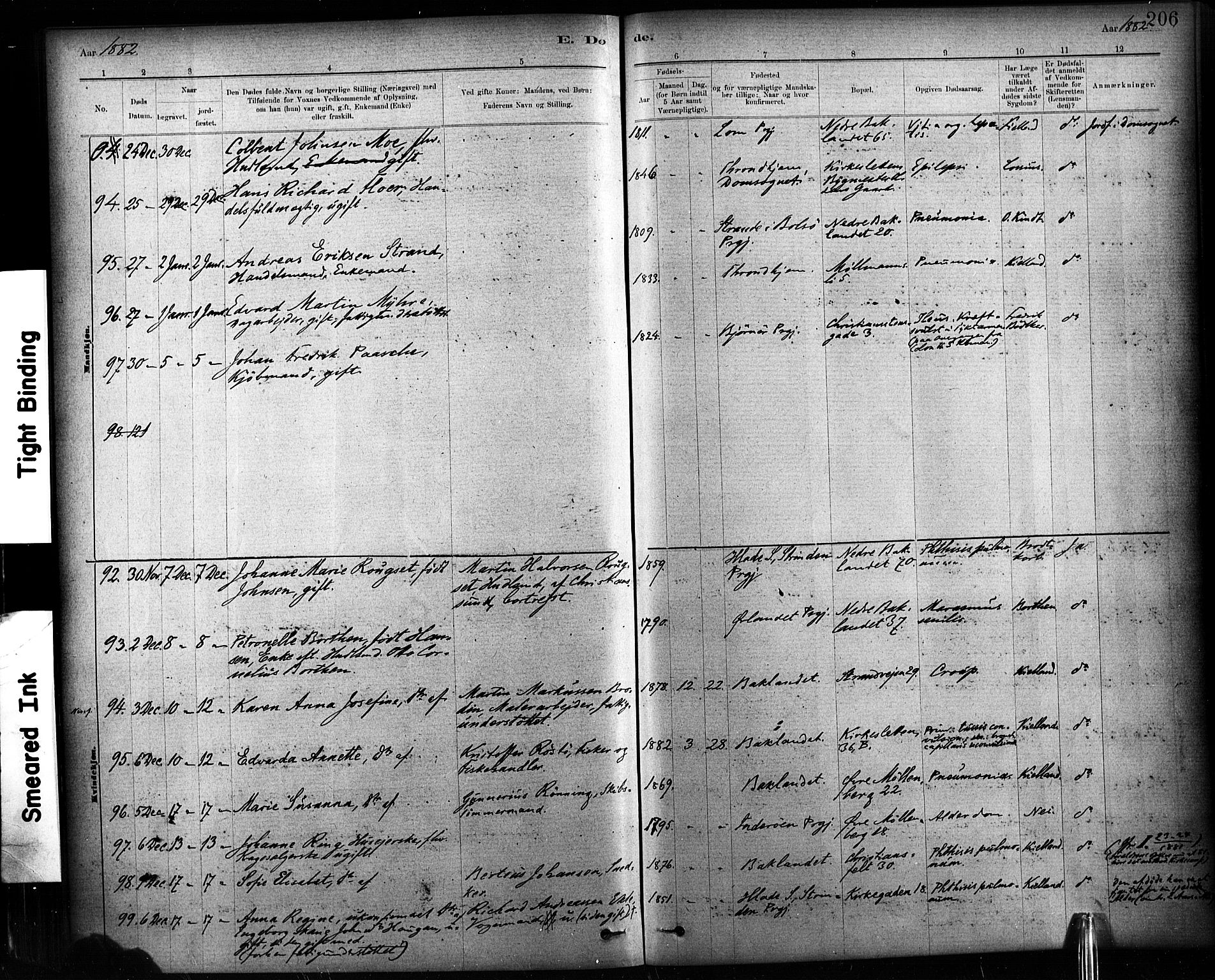 Ministerialprotokoller, klokkerbøker og fødselsregistre - Sør-Trøndelag, AV/SAT-A-1456/604/L0189: Parish register (official) no. 604A10, 1878-1892, p. 206