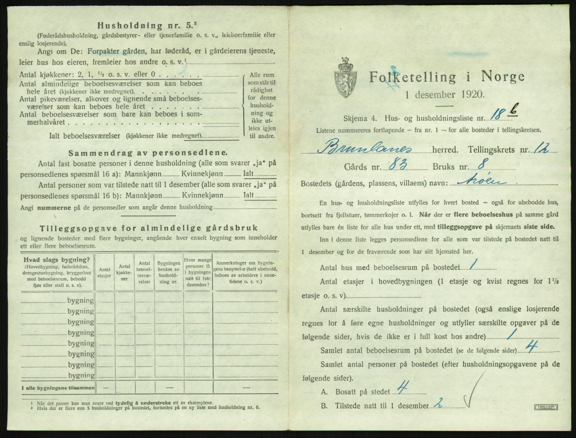 SAKO, 1920 census for Brunlanes, 1920, p. 1733