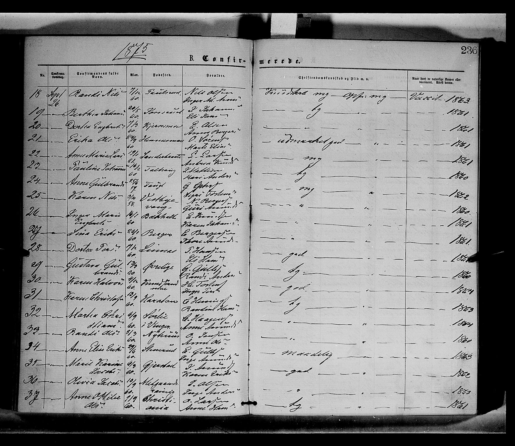 Sør-Odal prestekontor, AV/SAH-PREST-030/H/Ha/Haa/L0004: Parish register (official) no. 4, 1870-1875, p. 236