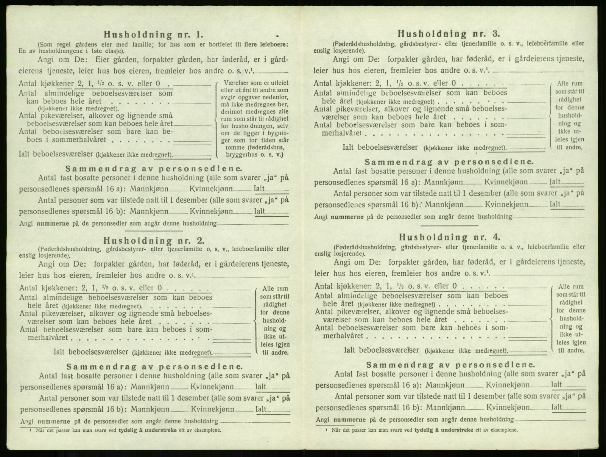 SAKO, 1920 census for Ramnes, 1920, p. 203