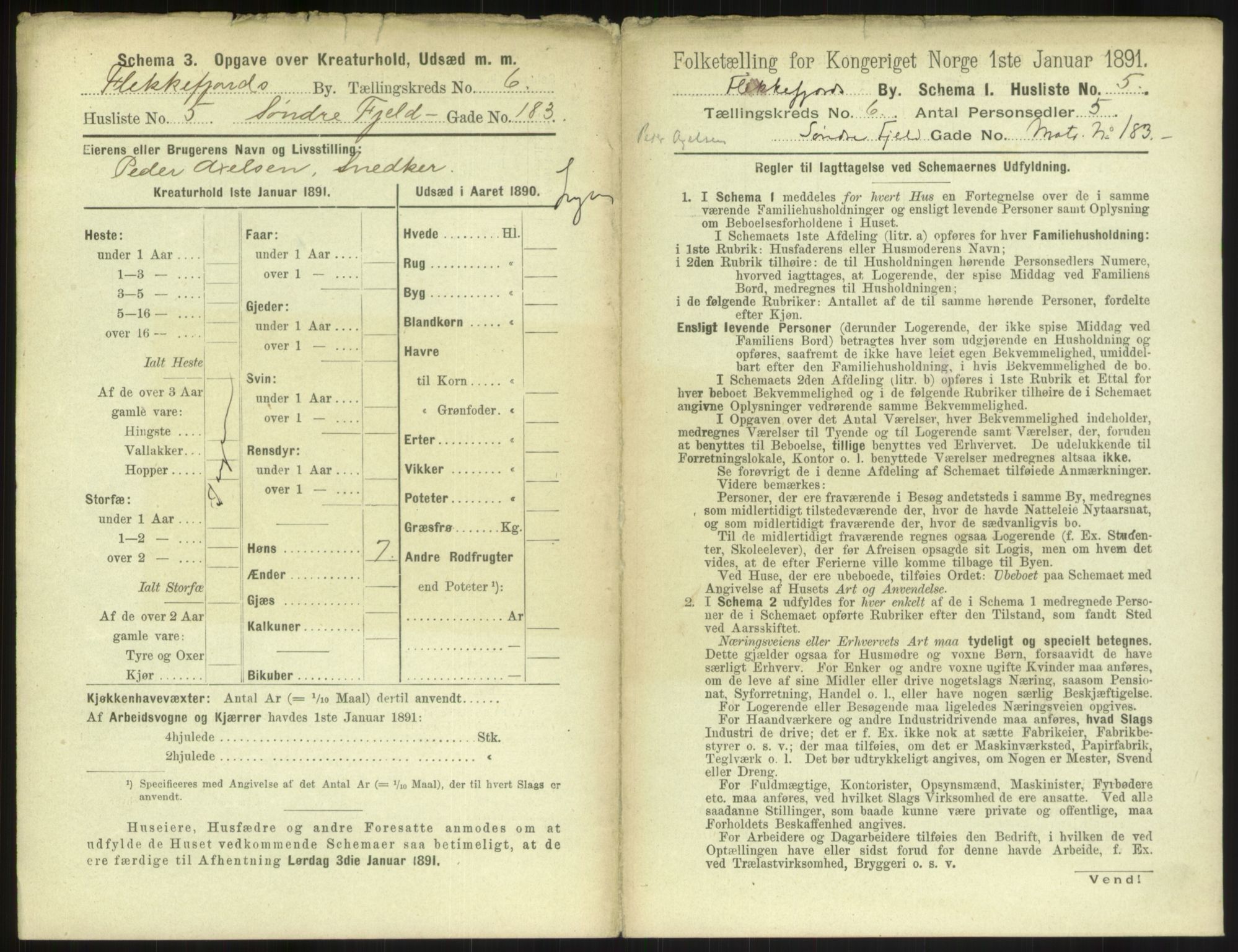 RA, 1891 census for 1004 Flekkefjord, 1891, p. 232