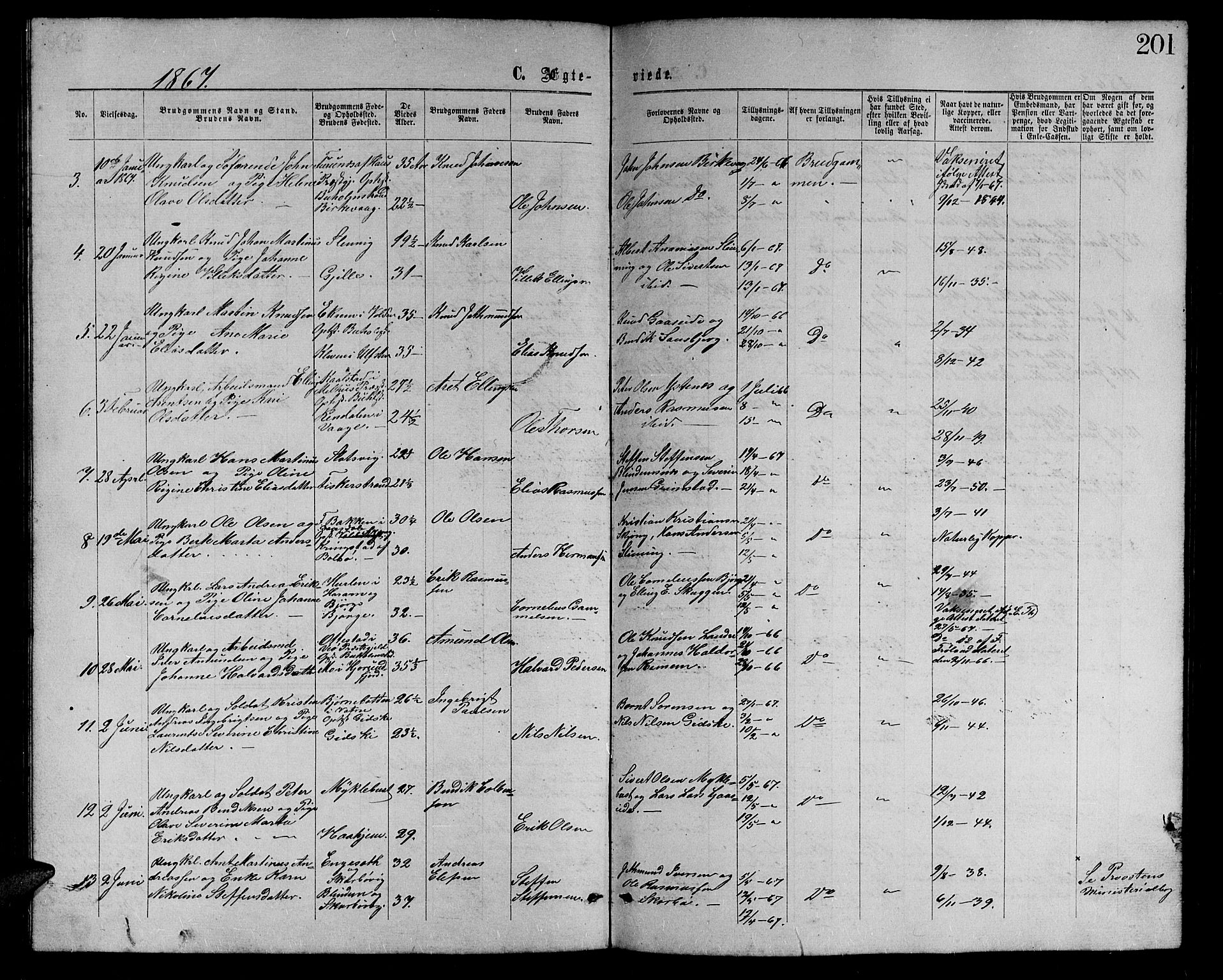 Ministerialprotokoller, klokkerbøker og fødselsregistre - Møre og Romsdal, AV/SAT-A-1454/528/L0428: Parish register (copy) no. 528C09, 1864-1880, p. 201