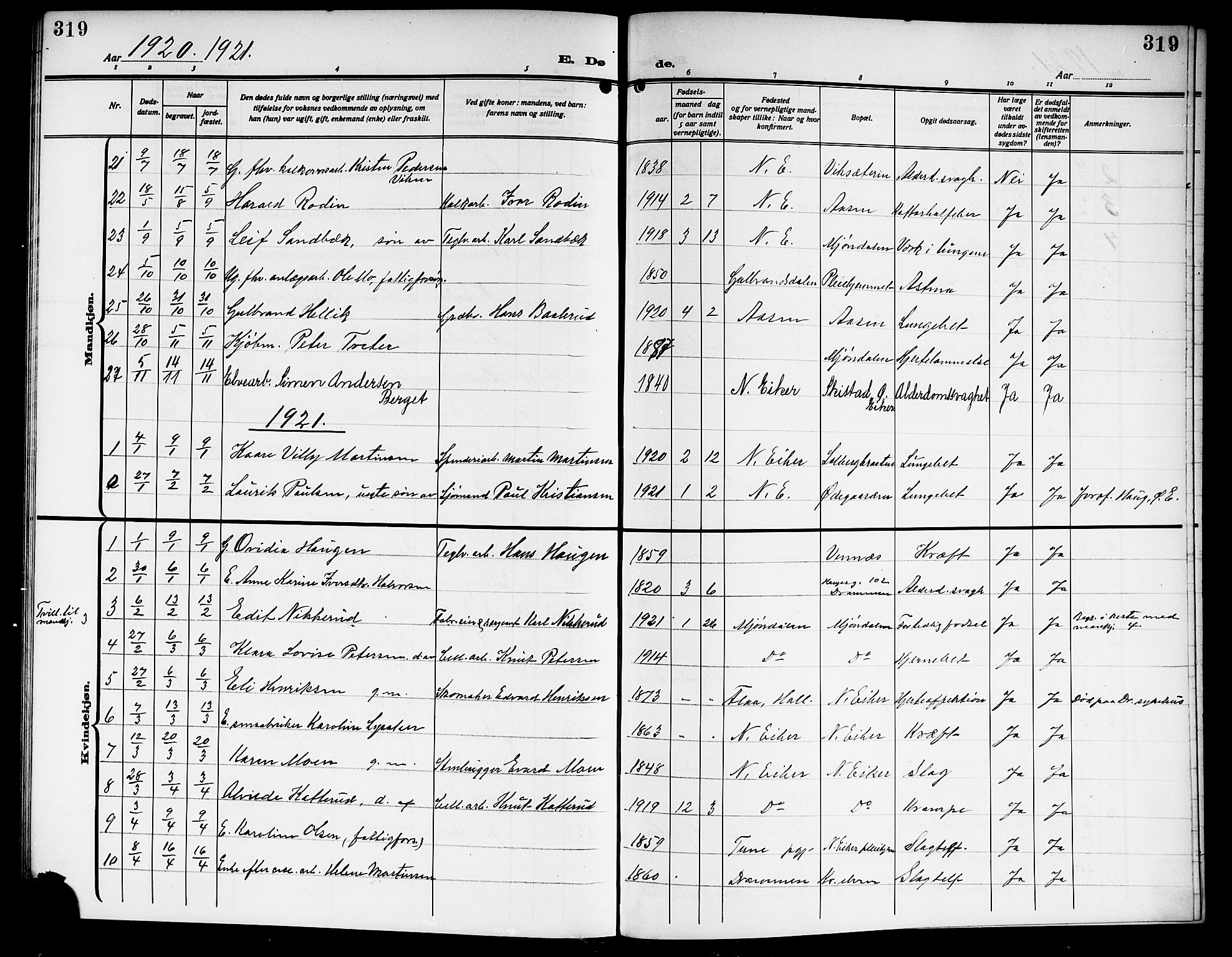 Nedre Eiker kirkebøker, SAKO/A-612/G/Ga/L0005: Parish register (copy) no. 5, 1913-1921, p. 319