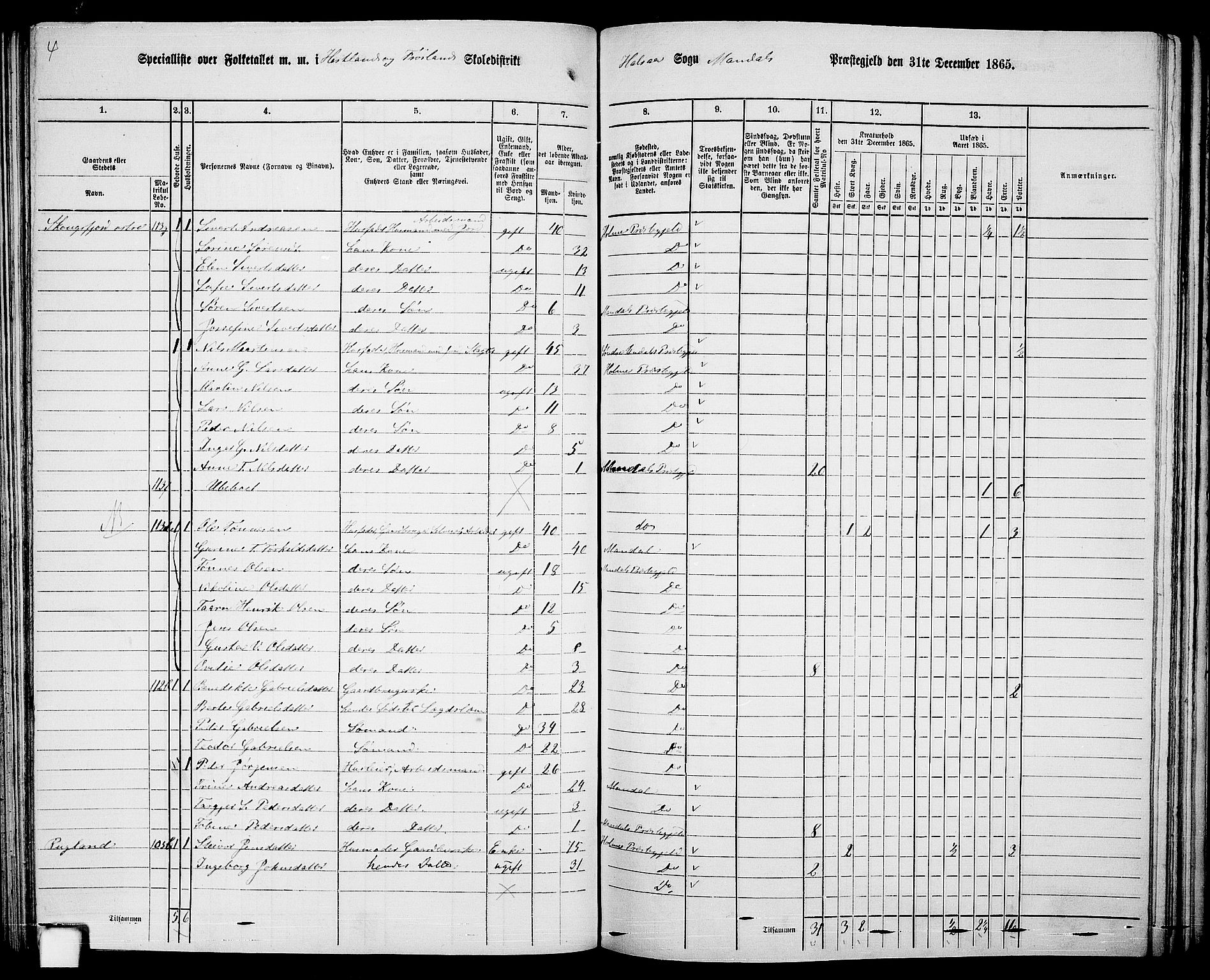 RA, 1865 census for Mandal/Halse og Harkmark, 1865, p. 79