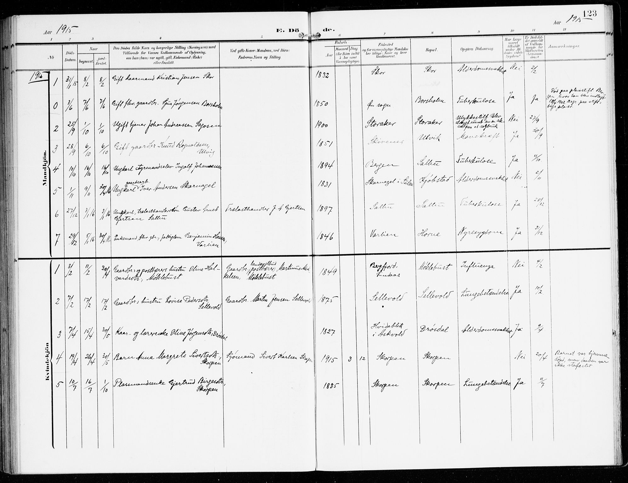 Hyllestad sokneprestembete, SAB/A-80401: Parish register (official) no. D 2, 1905-1919, p. 123