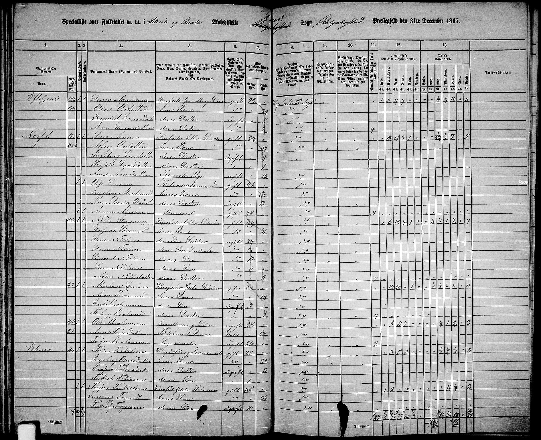 RA, 1865 census for Hægebostad, 1865, p. 59