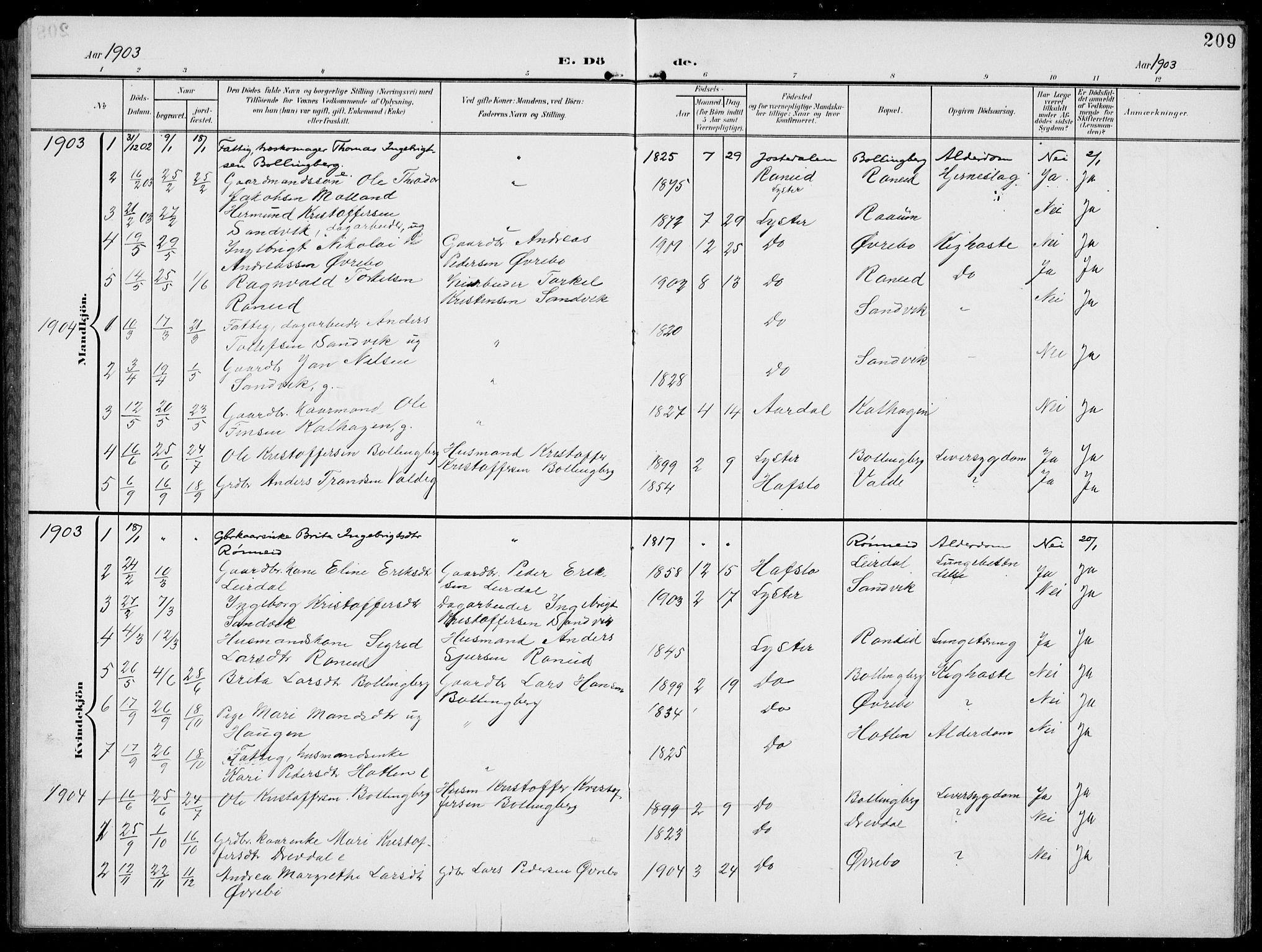 Jostedal sokneprestembete, AV/SAB-A-80601/H/Hab/Habc/L0001: Parish register (copy) no. C 1, 1903-1939, p. 209