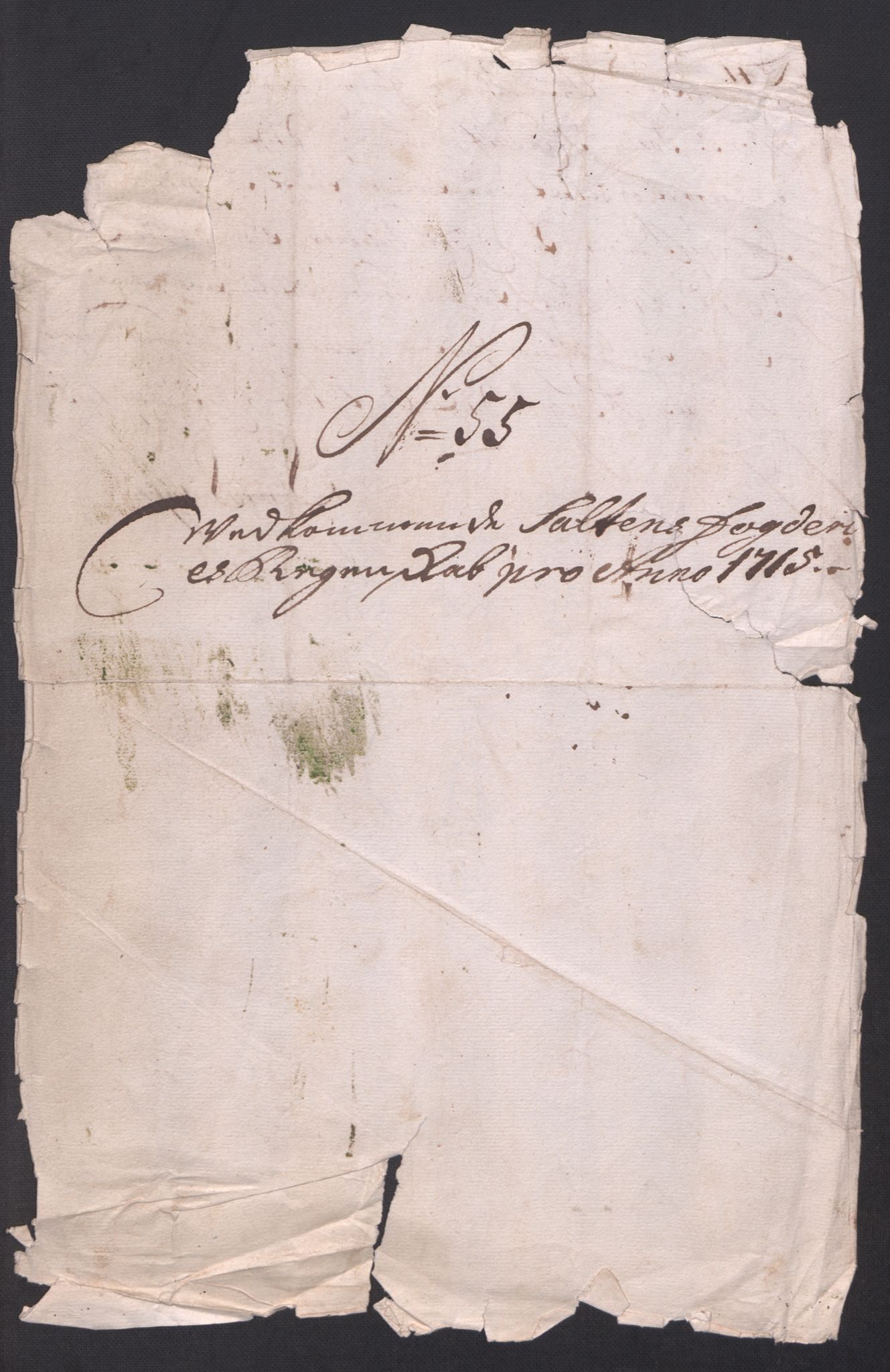 Rentekammeret inntil 1814, Reviderte regnskaper, Fogderegnskap, AV/RA-EA-4092/R66/L4585: Fogderegnskap Salten, 1715, p. 332