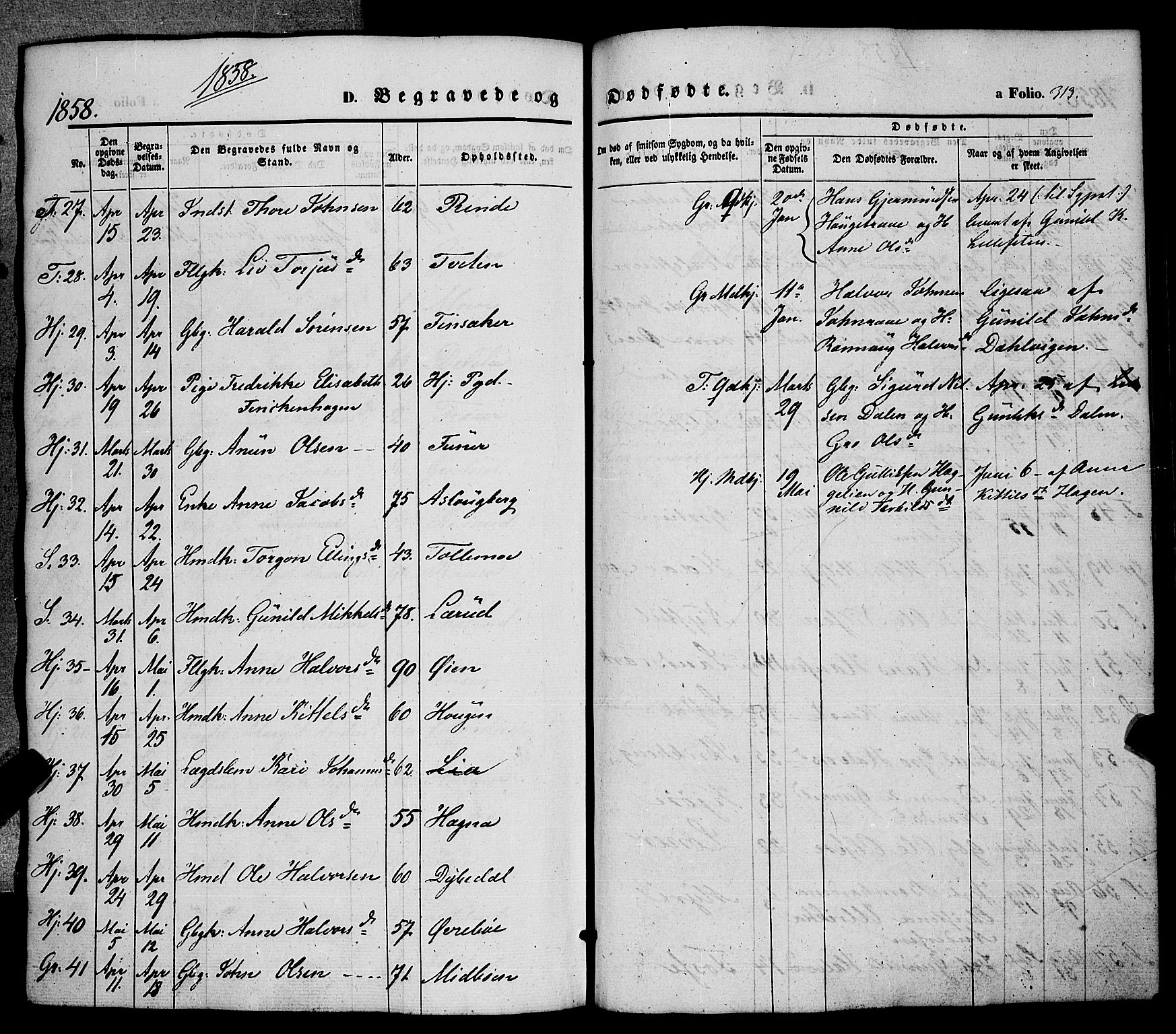 Hjartdal kirkebøker, AV/SAKO-A-270/F/Fa/L0008: Parish register (official) no. I 8, 1844-1859, p. 313