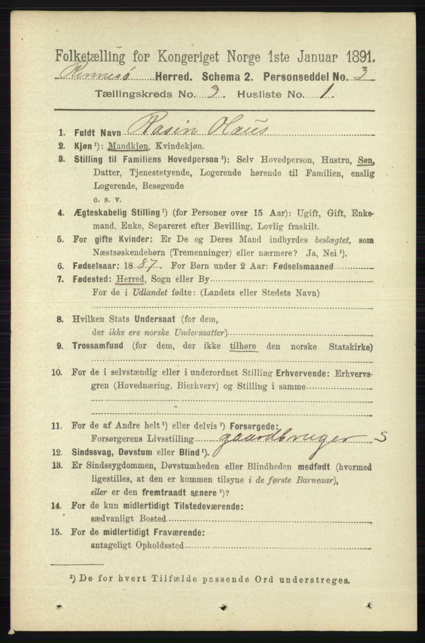 RA, 1891 census for 1142 Rennesøy, 1891, p. 991