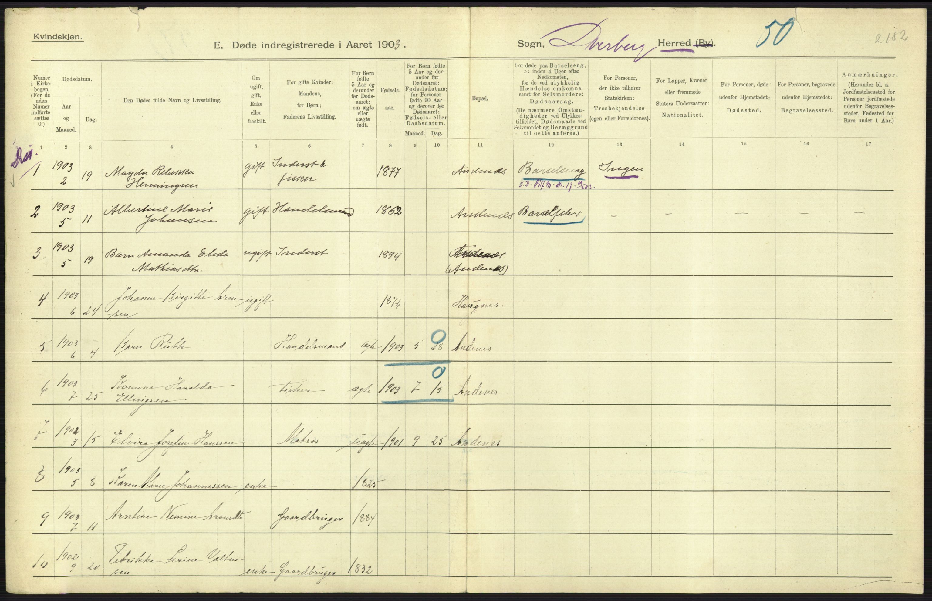 Statistisk sentralbyrå, Sosiodemografiske emner, Befolkning, AV/RA-S-2228/D/Df/Dfa/Dfaa/L0019: Nordlands amt: Fødte, gifte, døde., 1903, p. 247