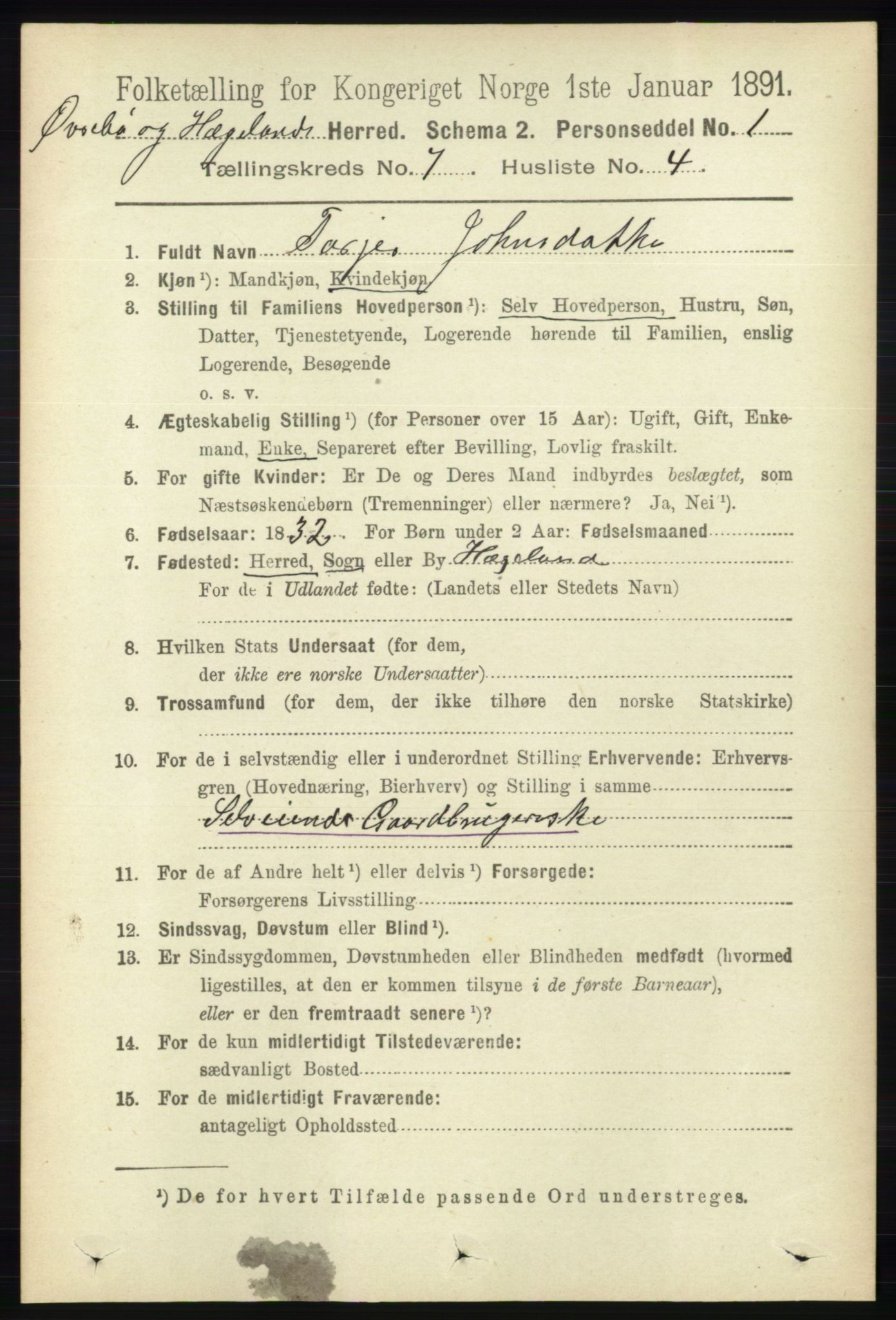 RA, 1891 census for 1016 Øvrebø og Hægeland, 1891, p. 1355