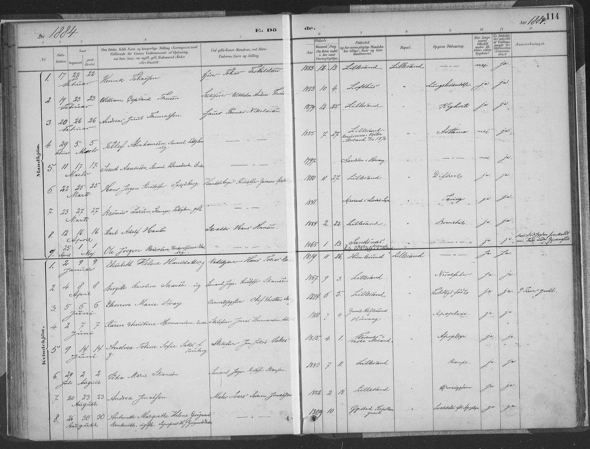 Vestre Moland sokneprestkontor, SAK/1111-0046/F/Fa/Faa/L0001: Parish register (official) no. A 1, 1884-1899, p. 114