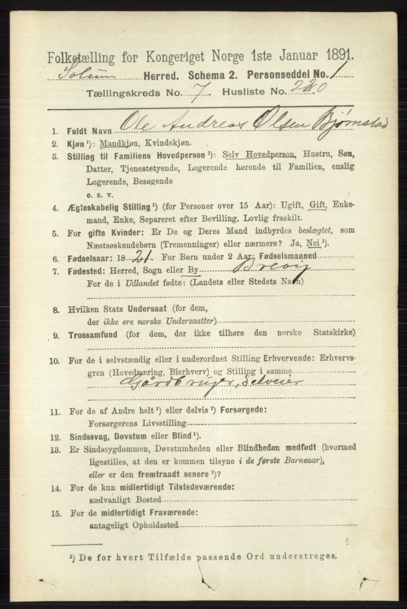 RA, 1891 census for 0818 Solum, 1891, p. 4009