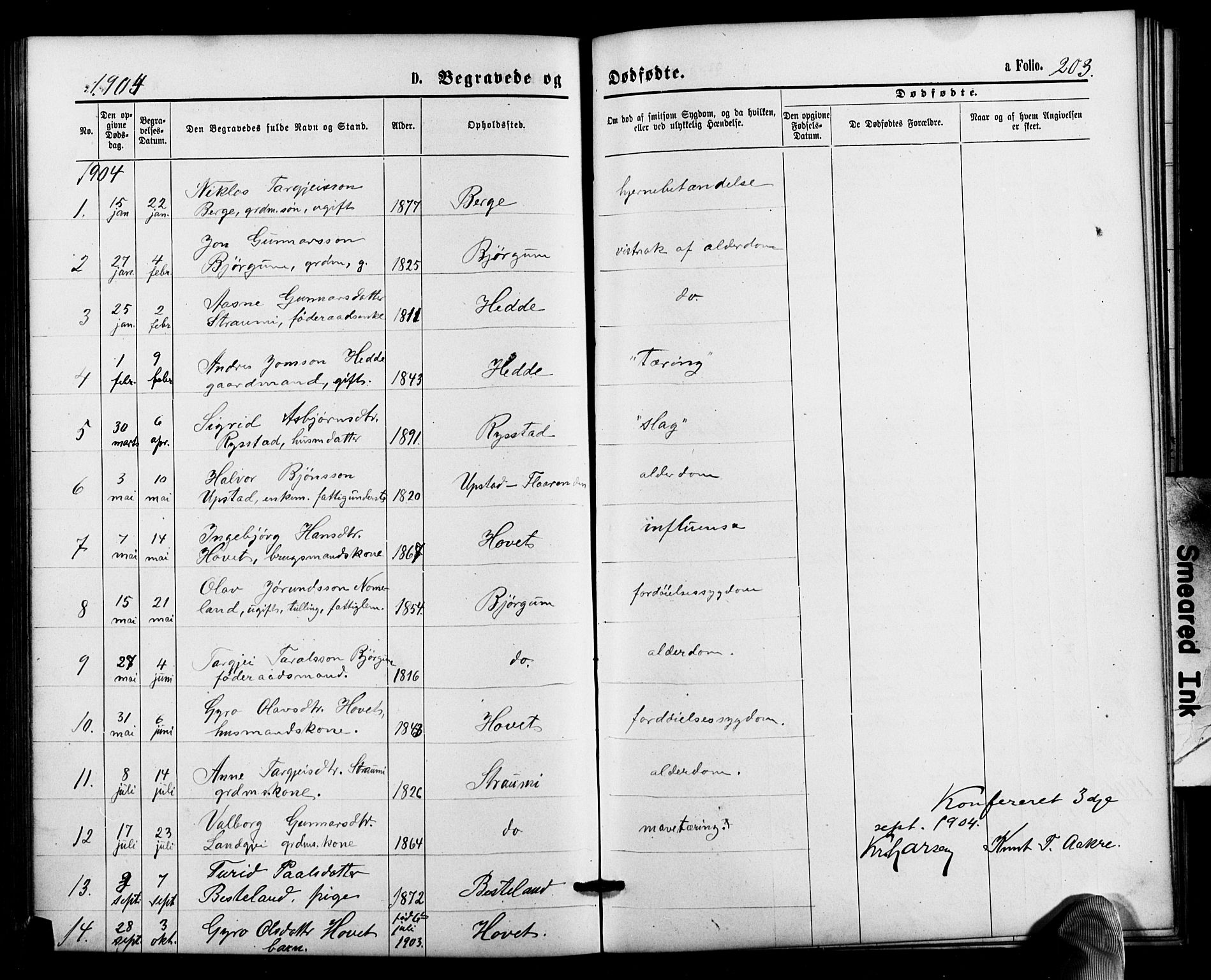 Valle sokneprestkontor, SAK/1111-0044/F/Fb/Fbb/L0002: Parish register (copy) no. B 2, 1875-1921, p. 203