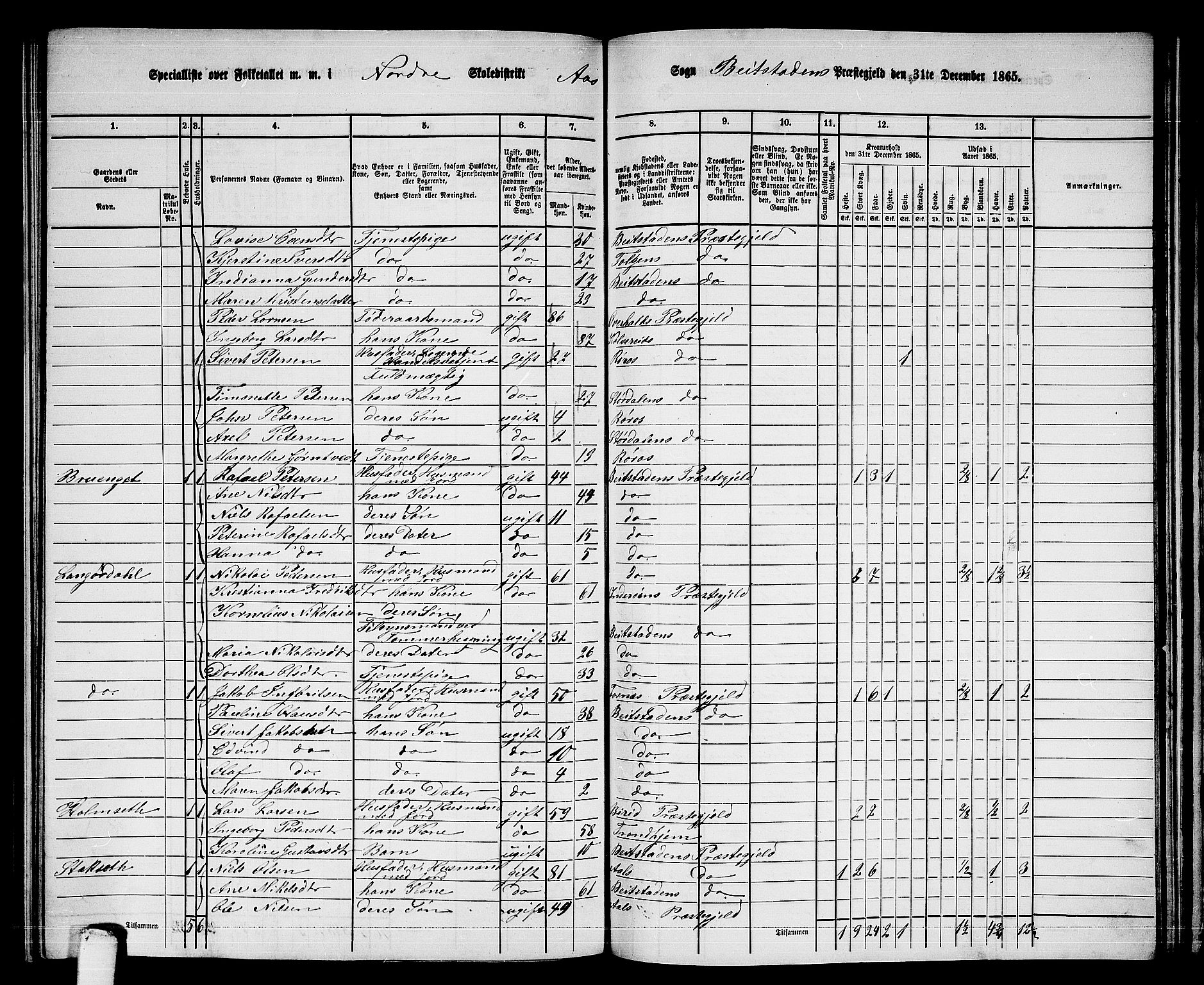 RA, 1865 census for Beitstad, 1865, p. 164