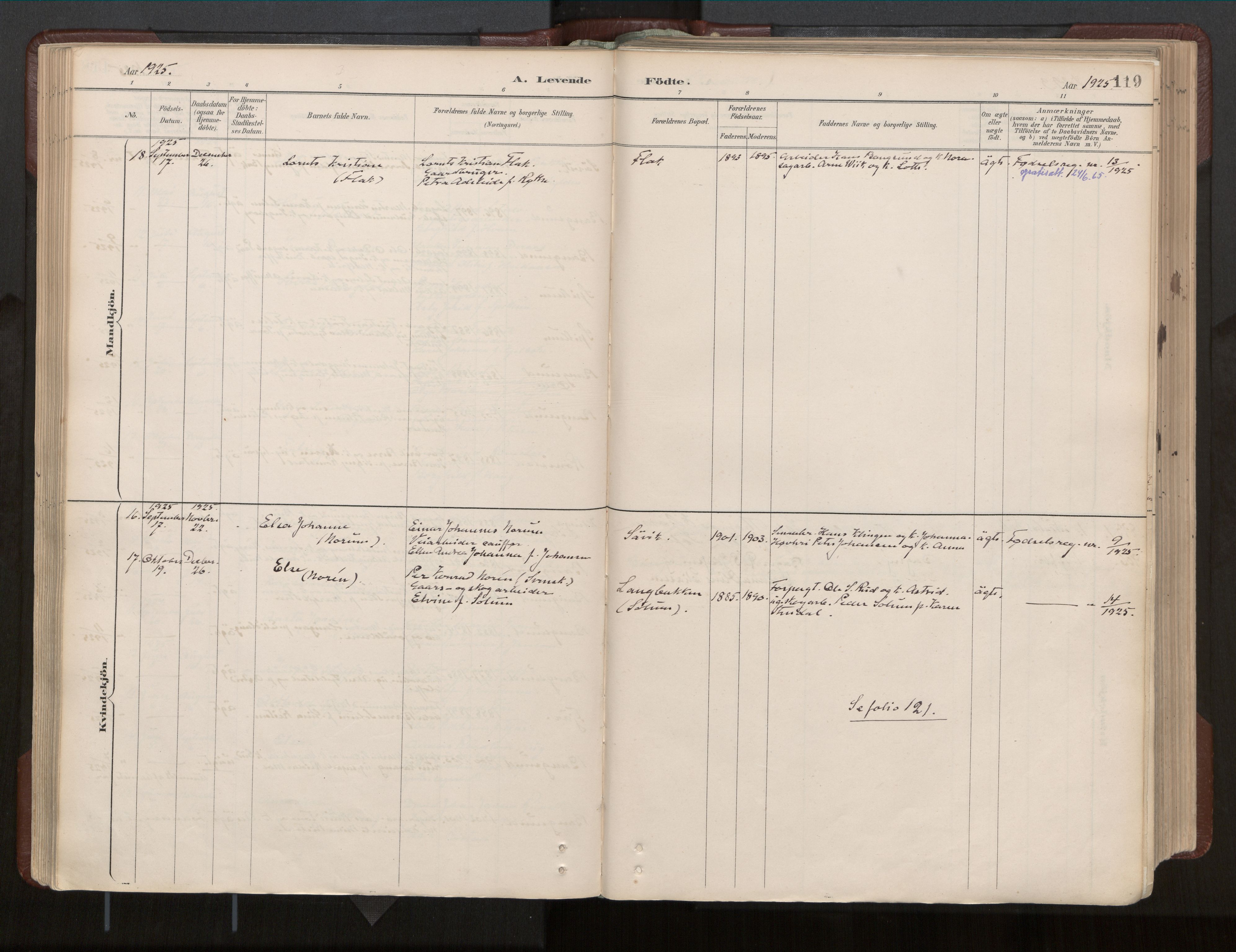 Ministerialprotokoller, klokkerbøker og fødselsregistre - Nord-Trøndelag, SAT/A-1458/770/L0589: Parish register (official) no. 770A03, 1887-1929, p. 119