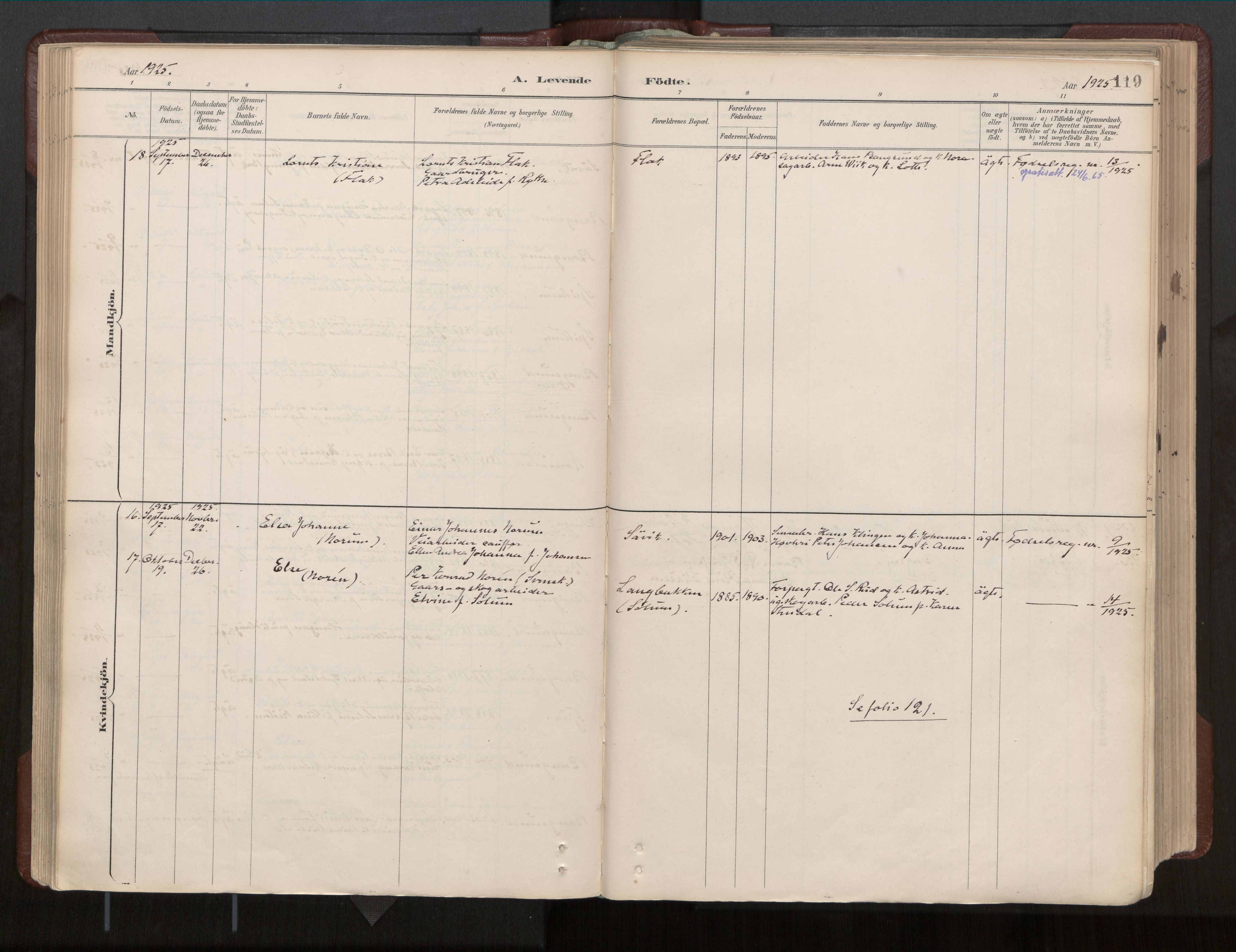 Ministerialprotokoller, klokkerbøker og fødselsregistre - Nord-Trøndelag, AV/SAT-A-1458/770/L0589: Parish register (official) no. 770A03, 1887-1929, p. 119