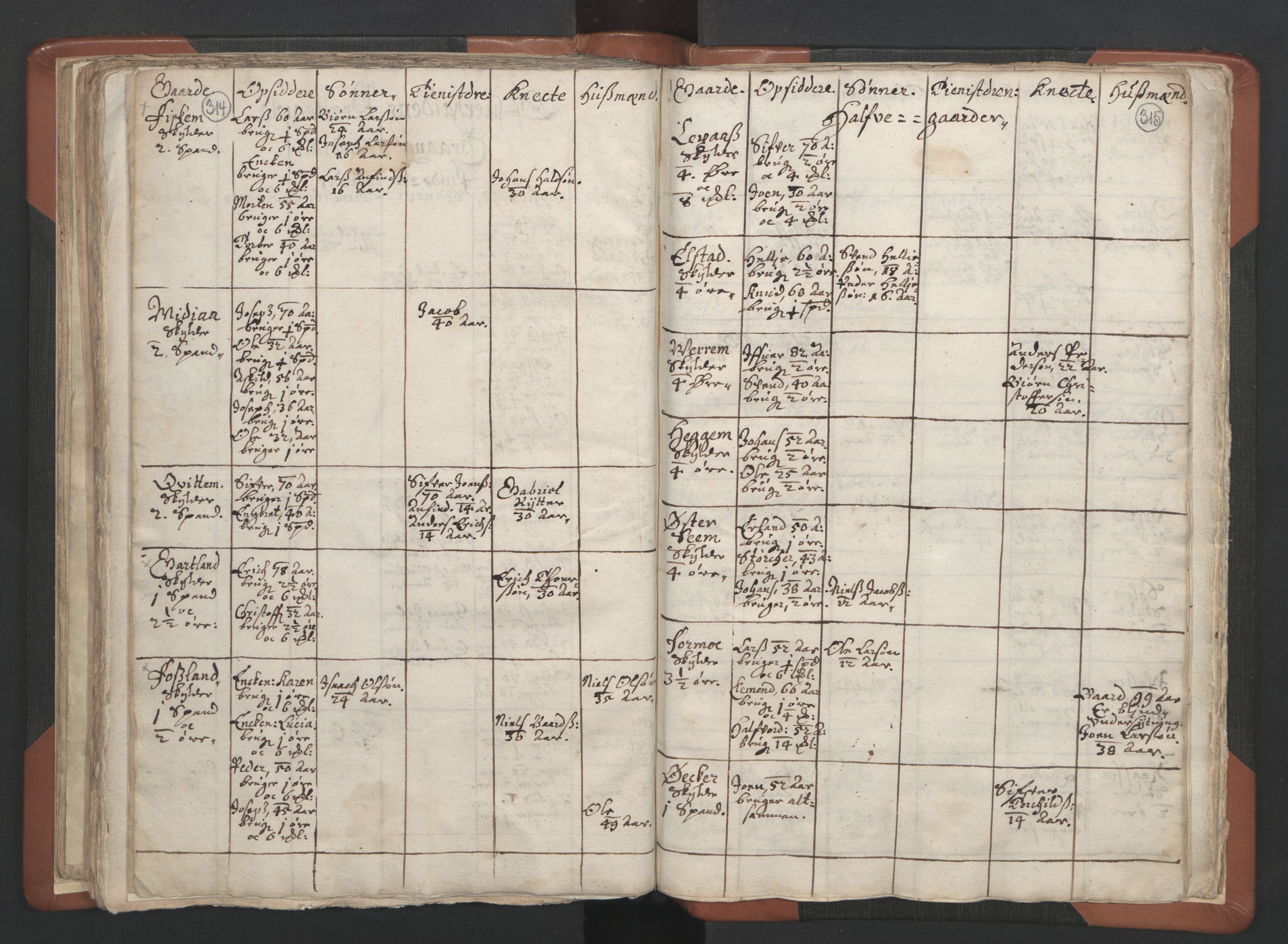 RA, Vicar's Census 1664-1666, no. 34: Namdal deanery, 1664-1666, p. 314-315