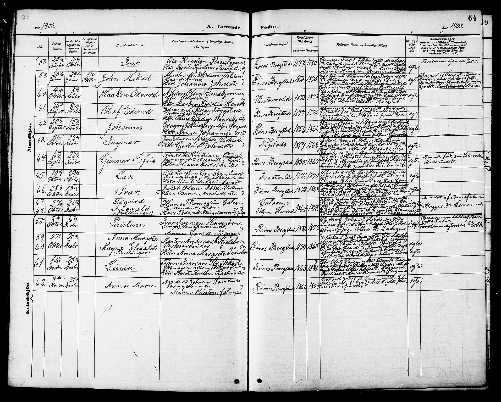 Ministerialprotokoller, klokkerbøker og fødselsregistre - Sør-Trøndelag, AV/SAT-A-1456/681/L0941: Parish register (copy) no. 681C05, 1896-1905, p. 64