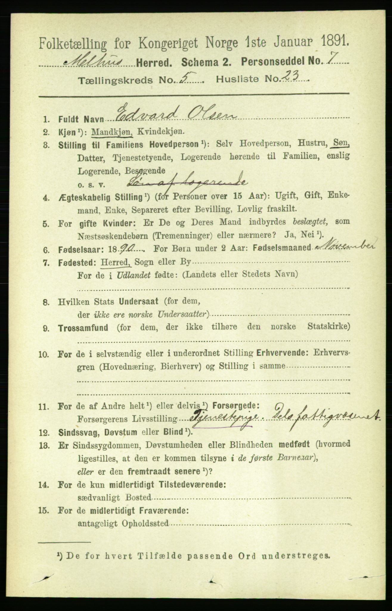 RA, 1891 census for 1653 Melhus, 1891, p. 2556