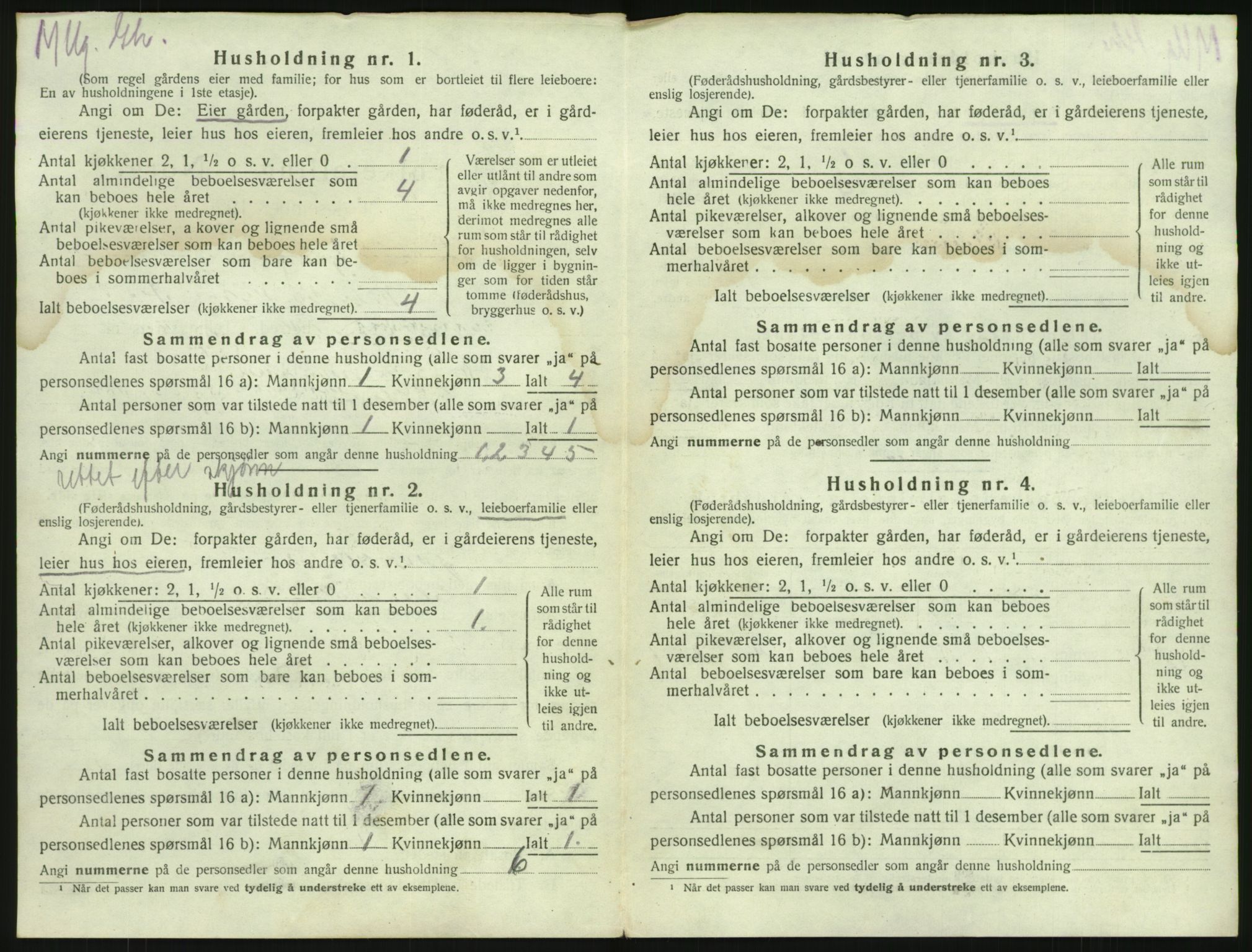 SAKO, 1920 census for Brunlanes, 1920, p. 866