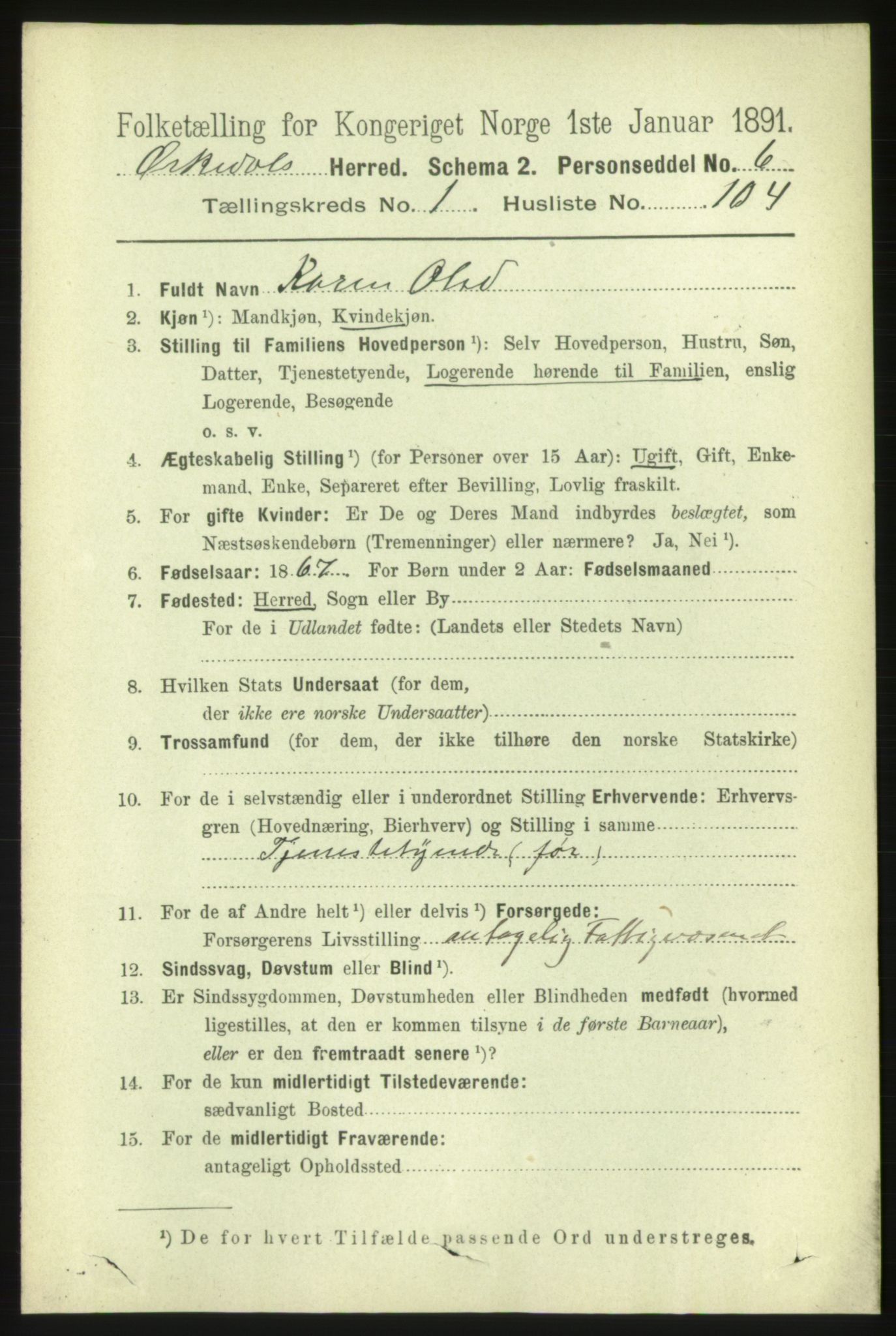 RA, 1891 census for 1638 Orkdal, 1891, p. 873