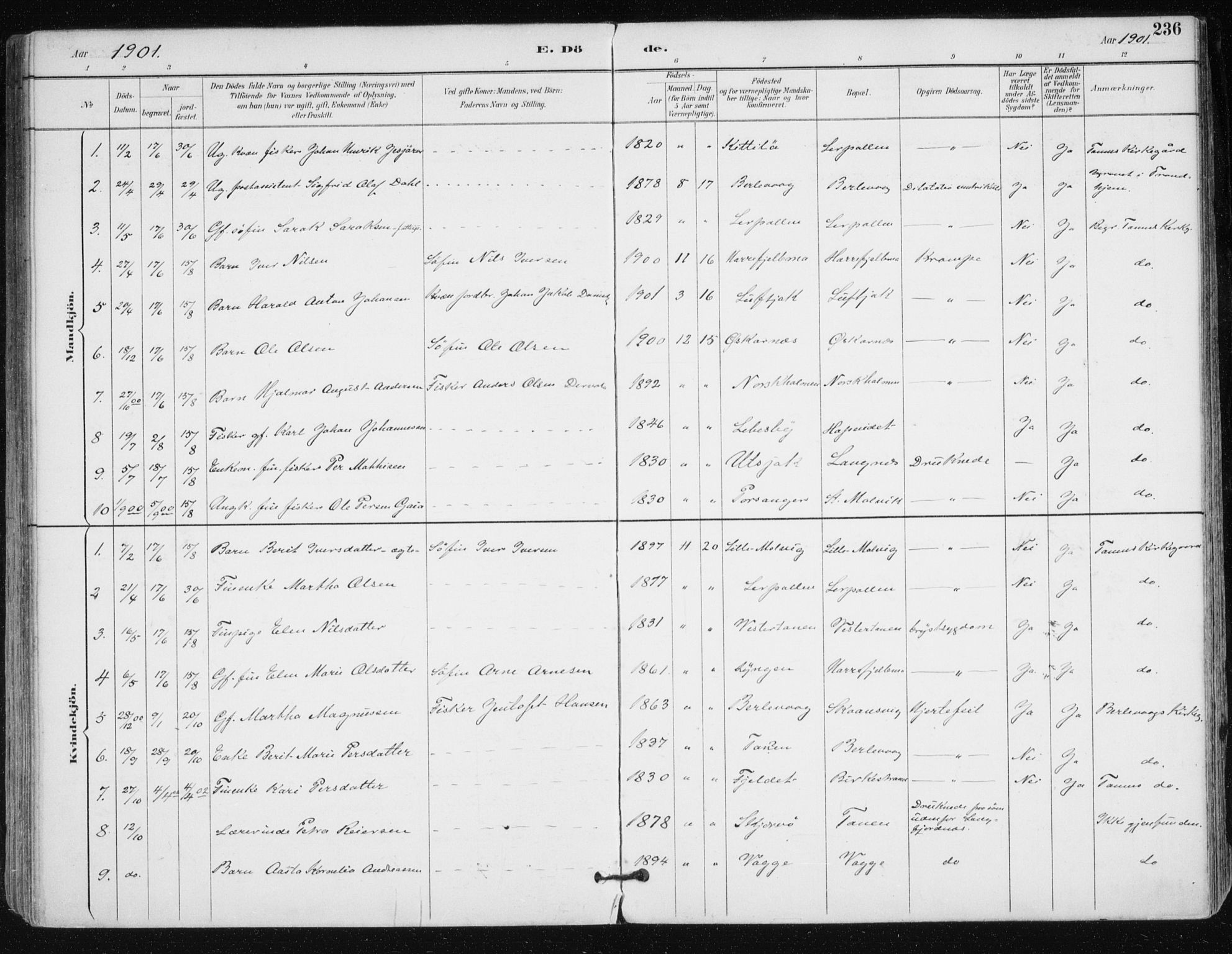 Tana sokneprestkontor, SATØ/S-1334/H/Ha/L0005kirke: Parish register (official) no. 5, 1891-1903, p. 236