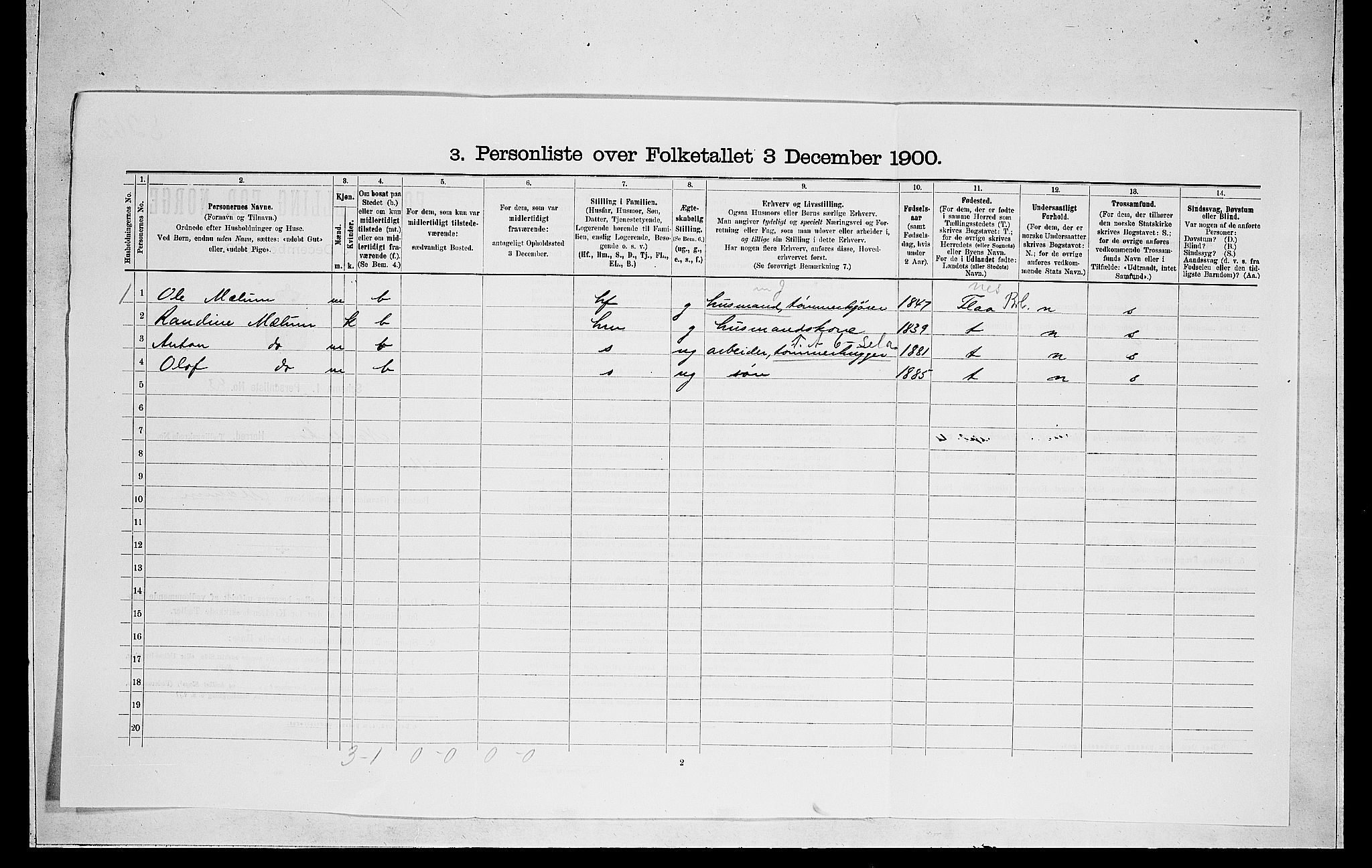 RA, 1900 census for Norderhov, 1900, p. 2549