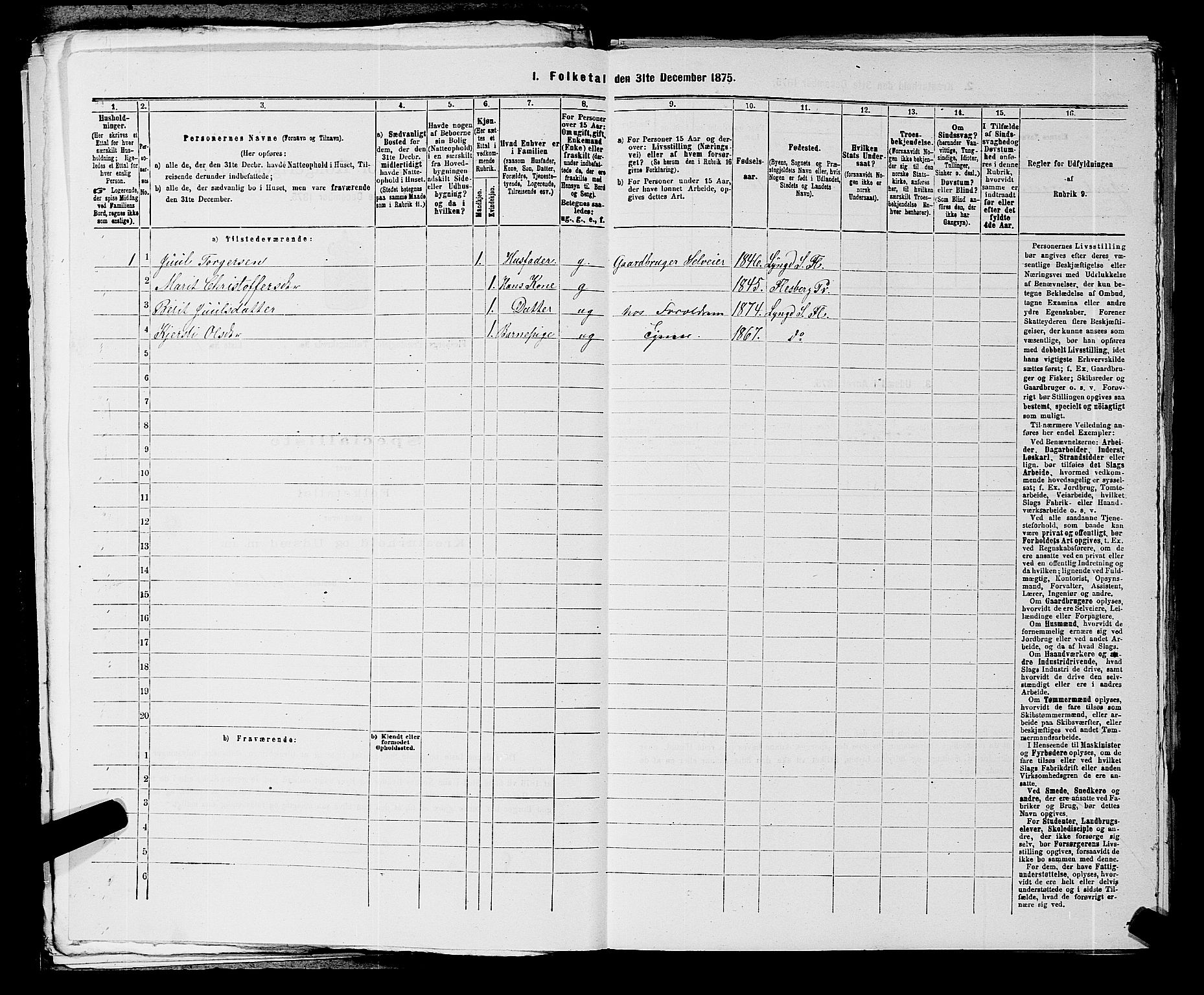 SAKO, 1875 census for 0631P Flesberg, 1875, p. 533