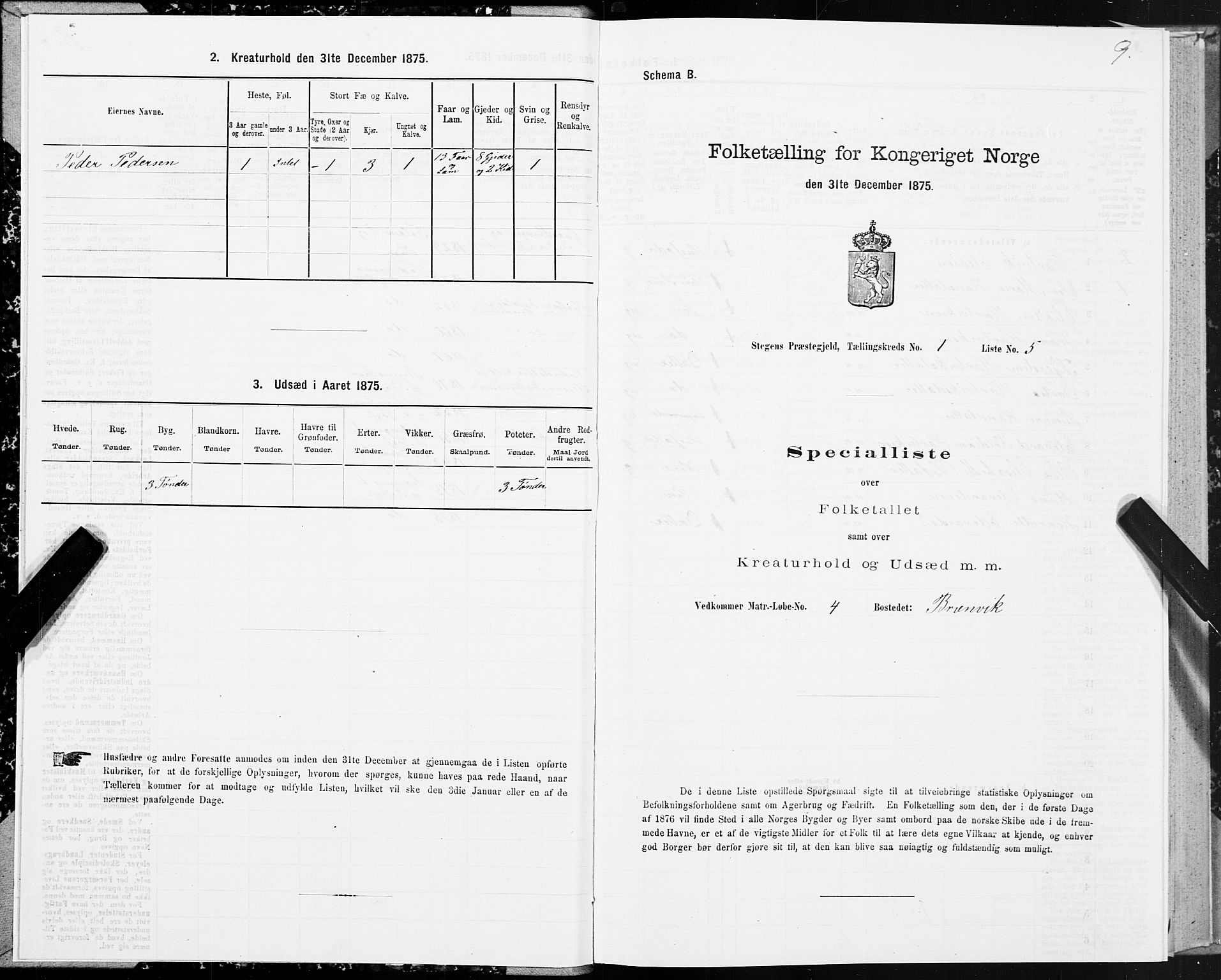 SAT, 1875 census for 1848P Steigen, 1875, p. 1009