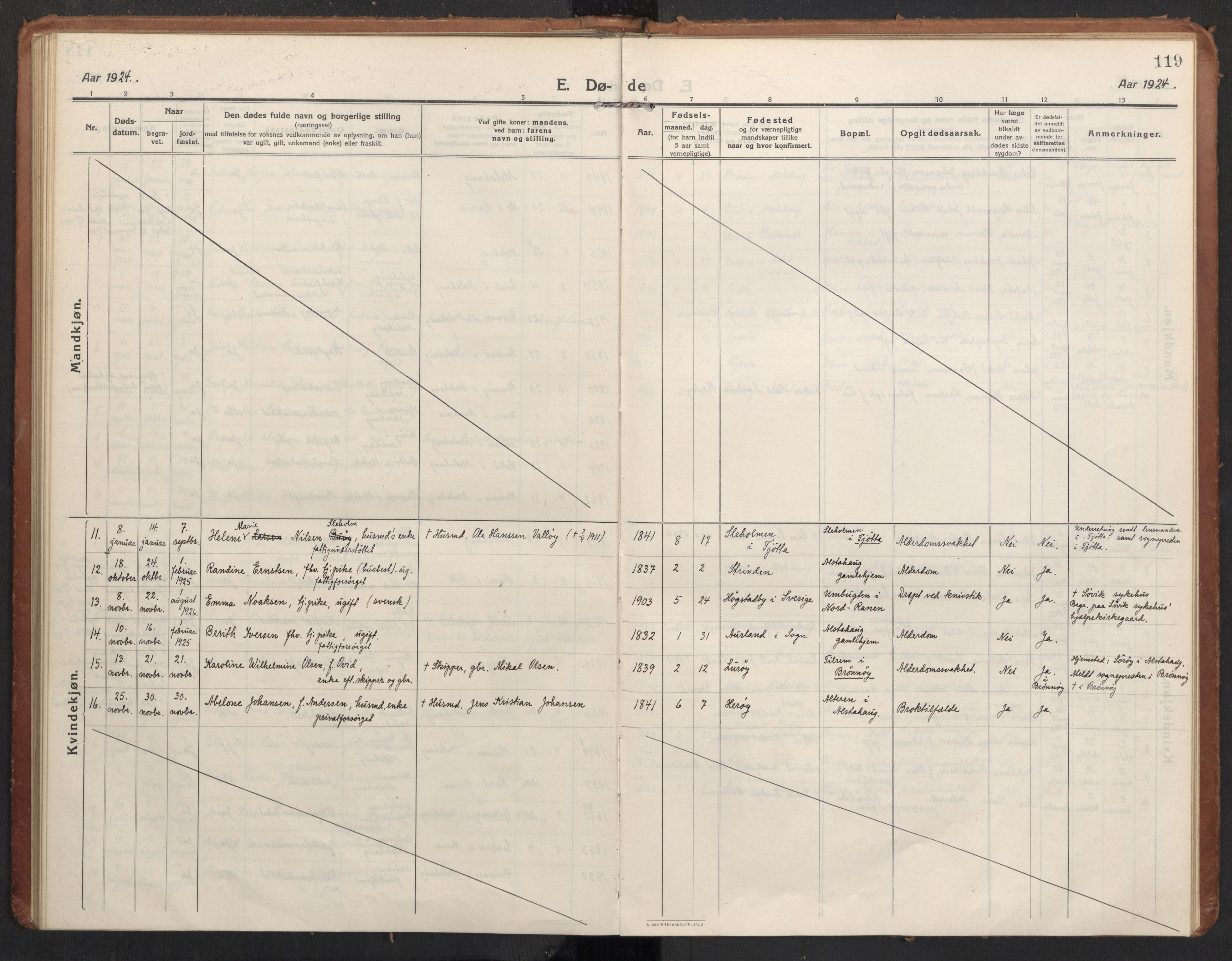 Ministerialprotokoller, klokkerbøker og fødselsregistre - Nordland, AV/SAT-A-1459/830/L0456: Parish register (official) no. 830A20, 1914-1937, p. 119