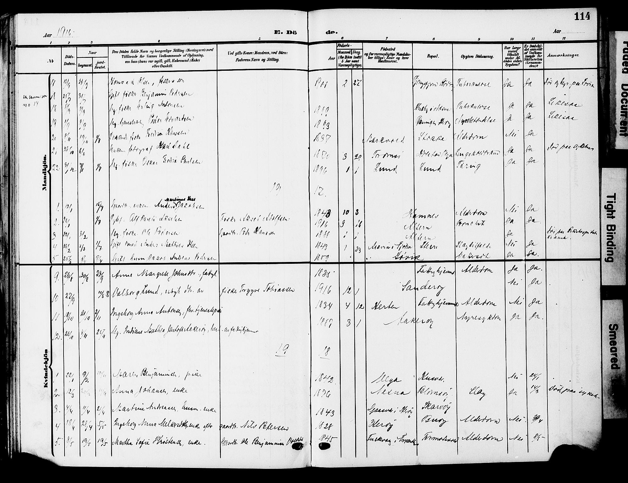 Ministerialprotokoller, klokkerbøker og fødselsregistre - Nordland, AV/SAT-A-1459/830/L0464: Parish register (copy) no. 830C06, 1906-1925, p. 114