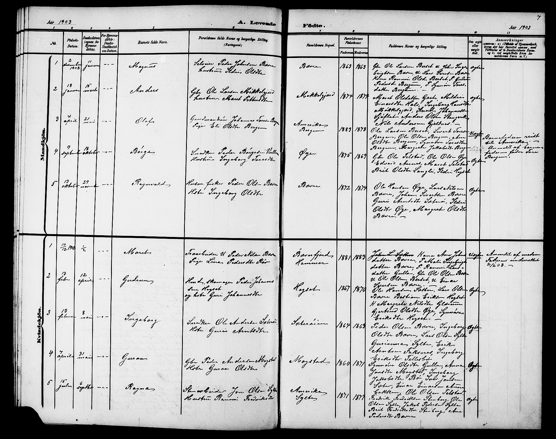 Ministerialprotokoller, klokkerbøker og fødselsregistre - Møre og Romsdal, AV/SAT-A-1454/595/L1053: Parish register (copy) no. 595C05, 1901-1919, p. 7