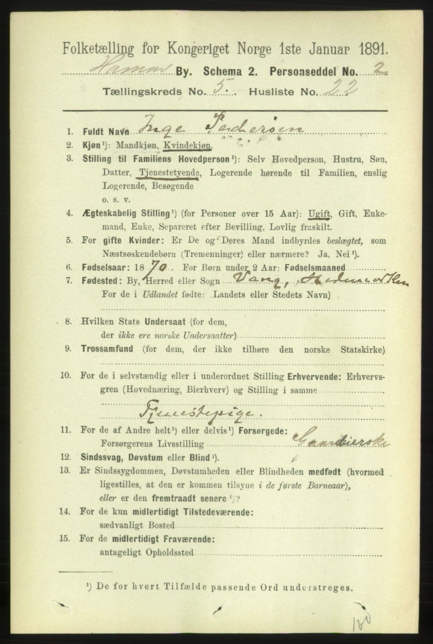 RA, 1891 census for 0401 Hamar, 1891, p. 4055