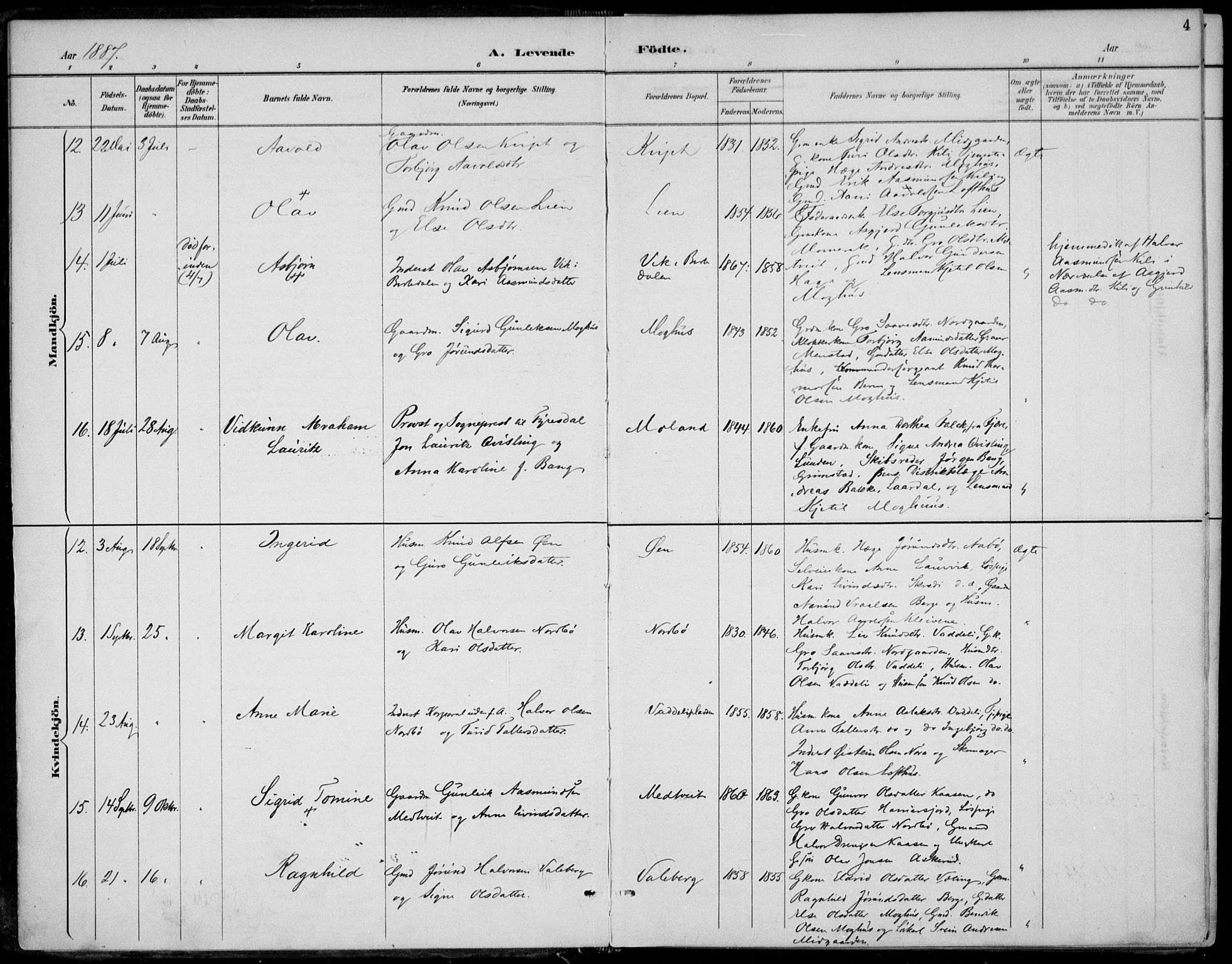Fyresdal kirkebøker, SAKO/A-263/F/Fa/L0007: Parish register (official) no. I 7, 1887-1914, p. 4