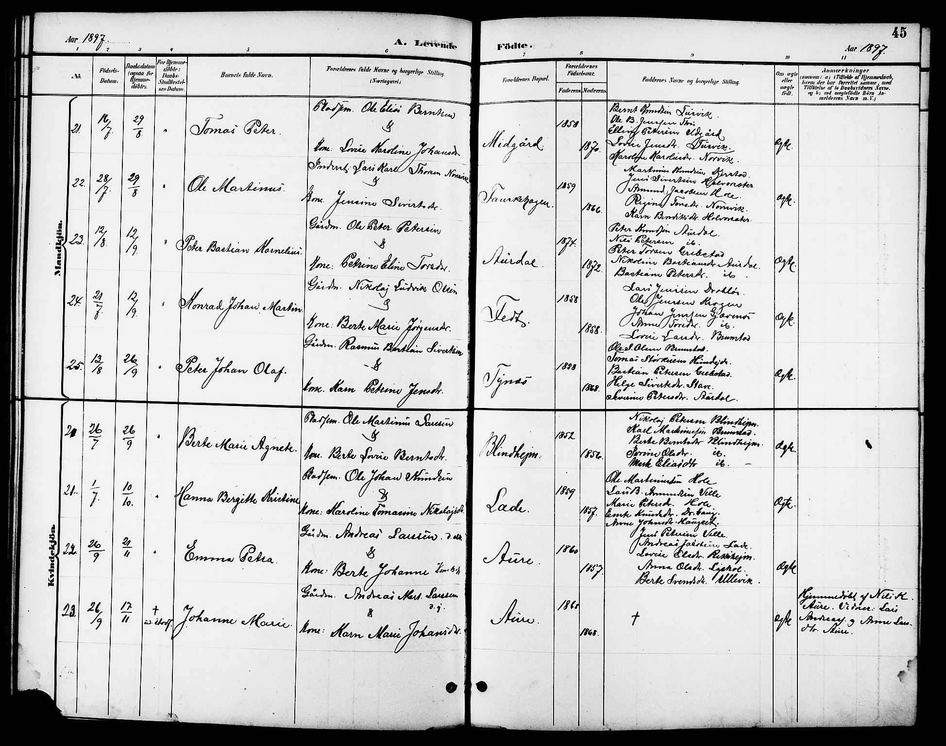 Ministerialprotokoller, klokkerbøker og fødselsregistre - Møre og Romsdal, AV/SAT-A-1454/523/L0340: Parish register (copy) no. 523C03, 1892-1902, p. 45