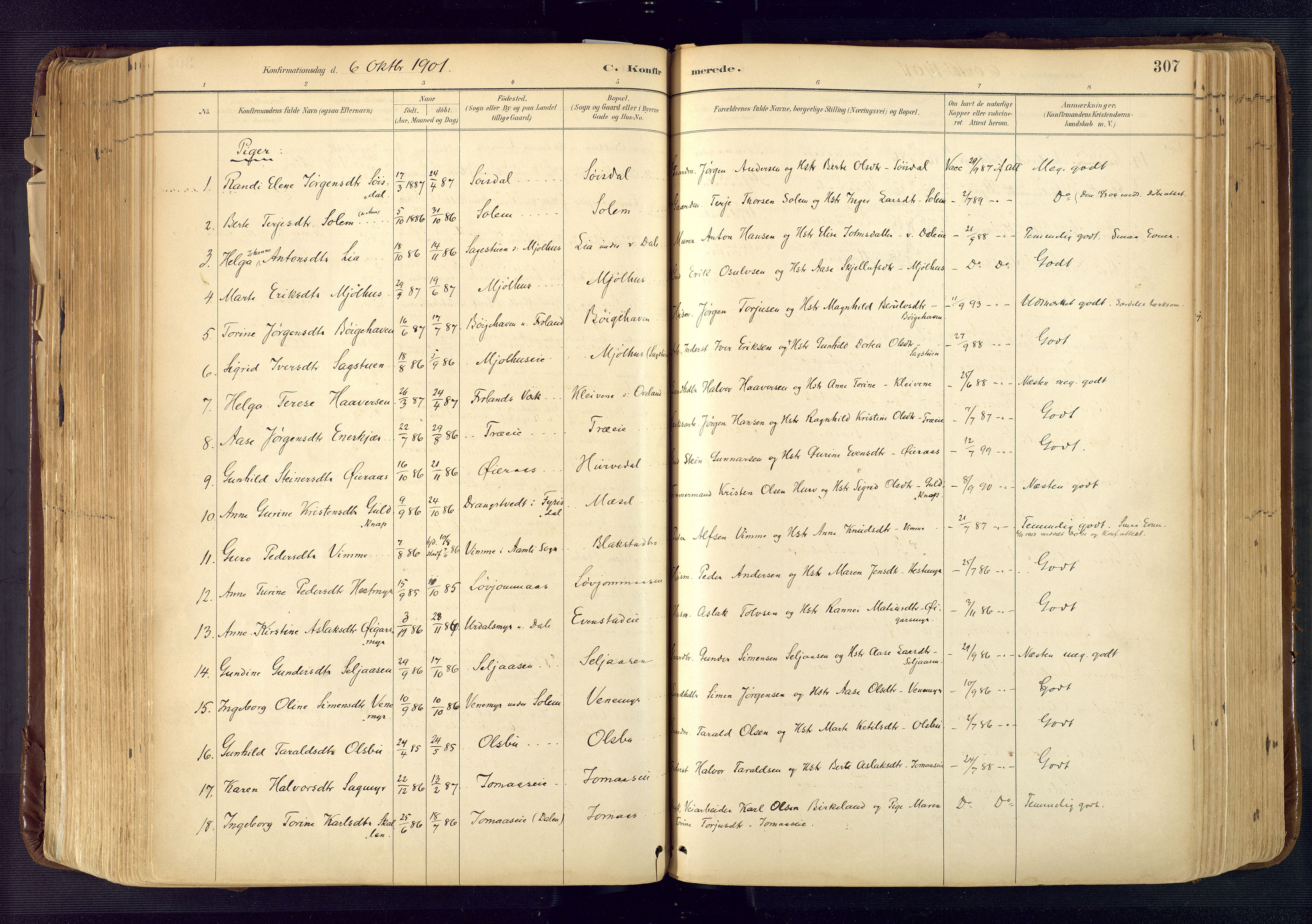 Froland sokneprestkontor, AV/SAK-1111-0013/F/Fa/L0005: Parish register (official) no. A 5, 1882-1921, p. 307