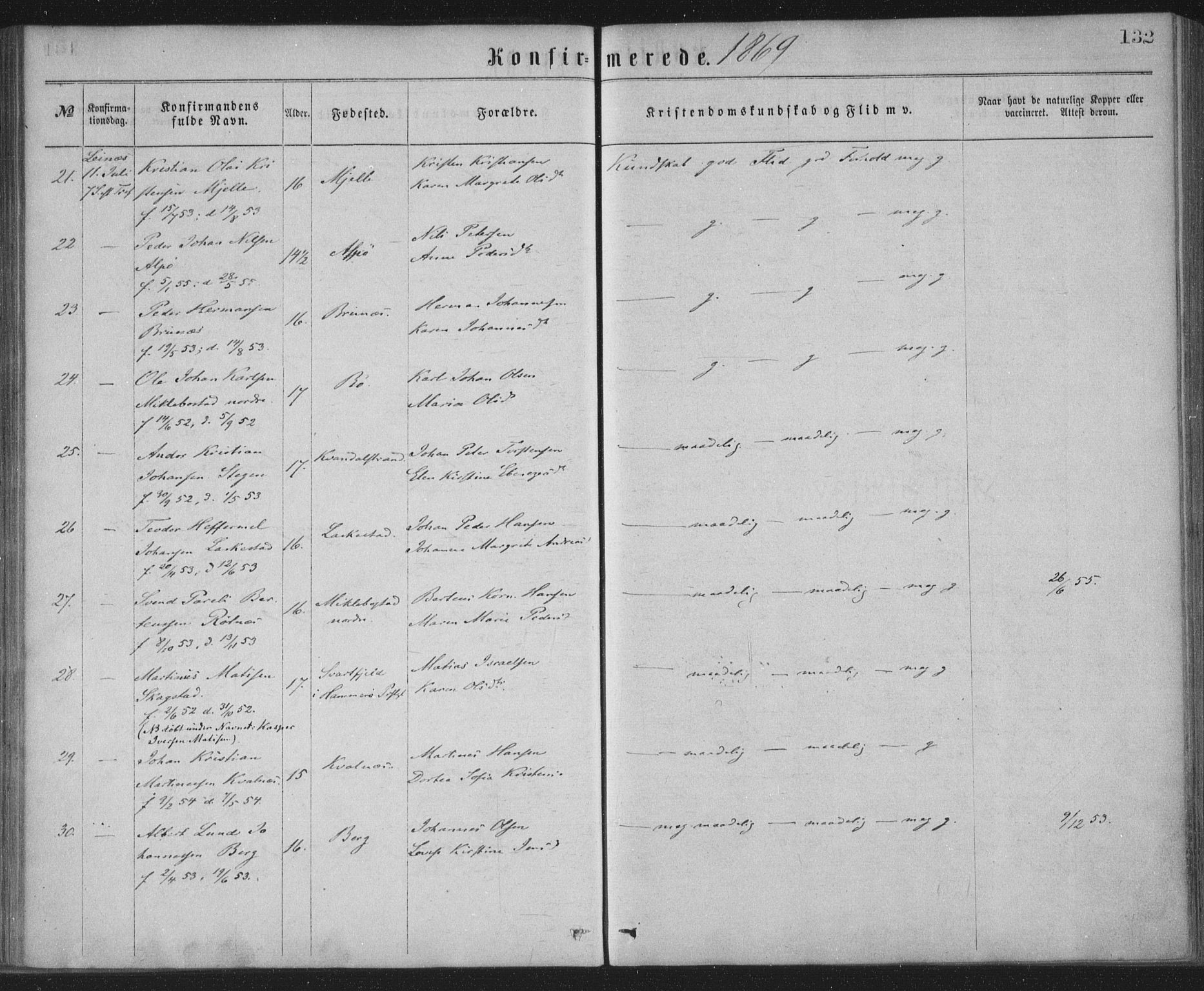 Ministerialprotokoller, klokkerbøker og fødselsregistre - Nordland, AV/SAT-A-1459/855/L0801: Parish register (official) no. 855A09, 1864-1874, p. 132