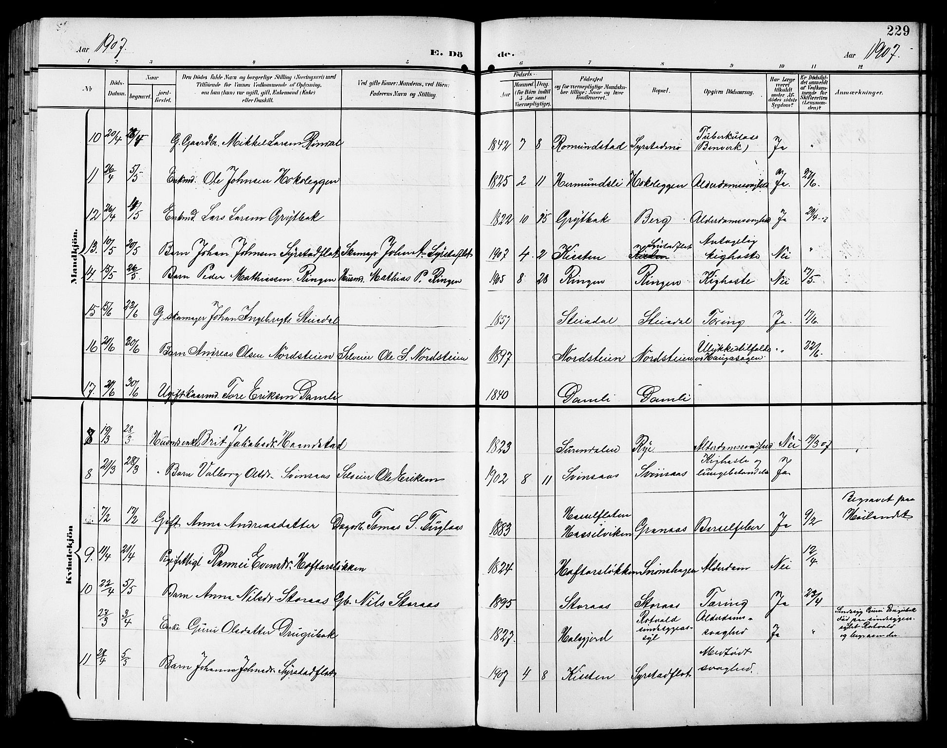 Ministerialprotokoller, klokkerbøker og fødselsregistre - Sør-Trøndelag, AV/SAT-A-1456/672/L0864: Parish register (copy) no. 672C03, 1902-1914, p. 229