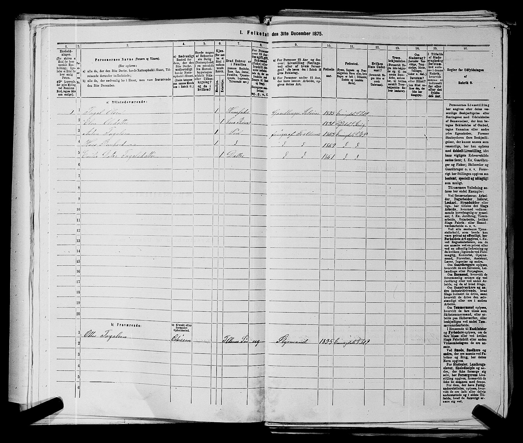 RA, 1875 census for 0117P Idd, 1875, p. 666