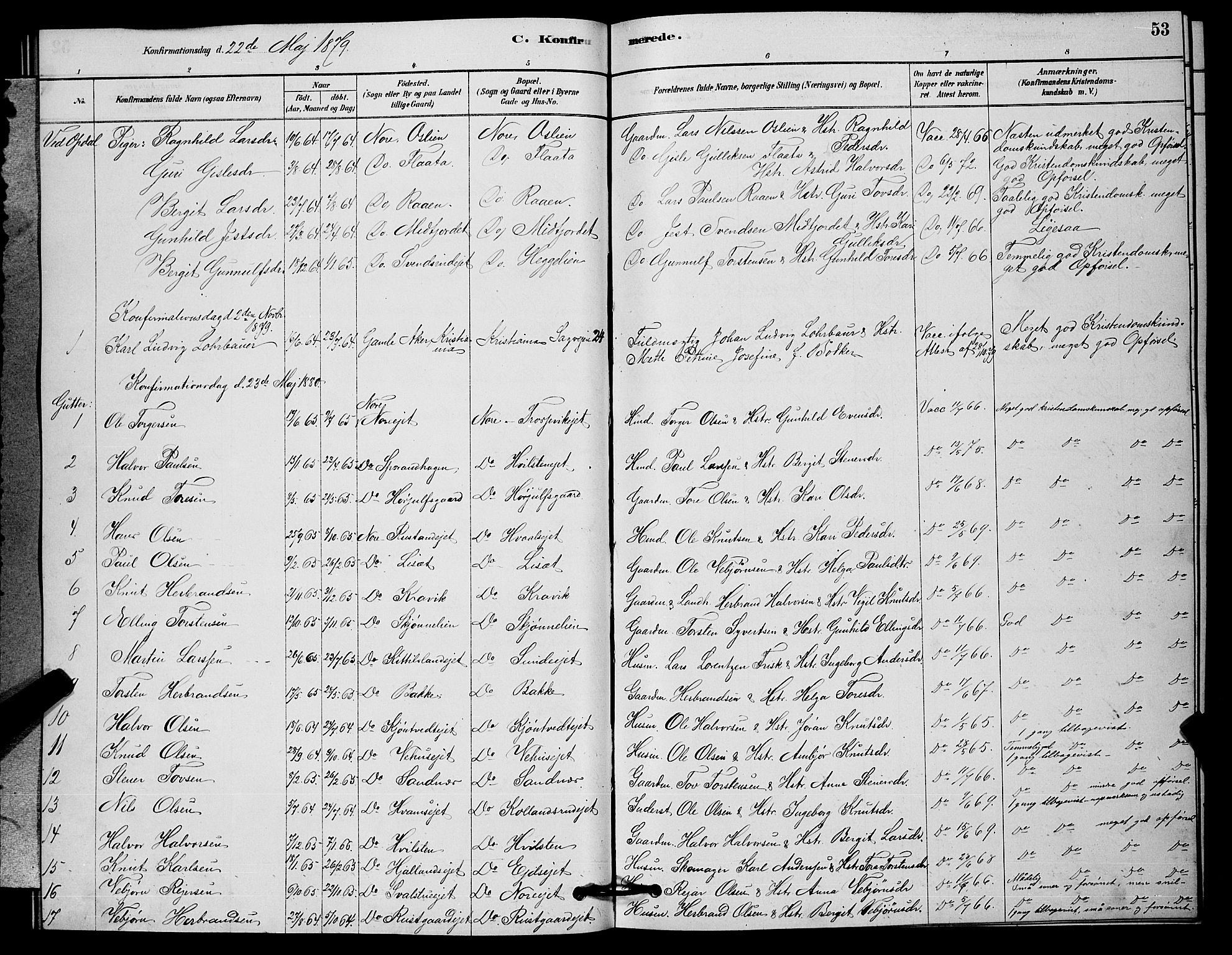 Nore kirkebøker, SAKO/A-238/G/Ga/L0002: Parish register (copy) no. I 2, 1878-1885, p. 53